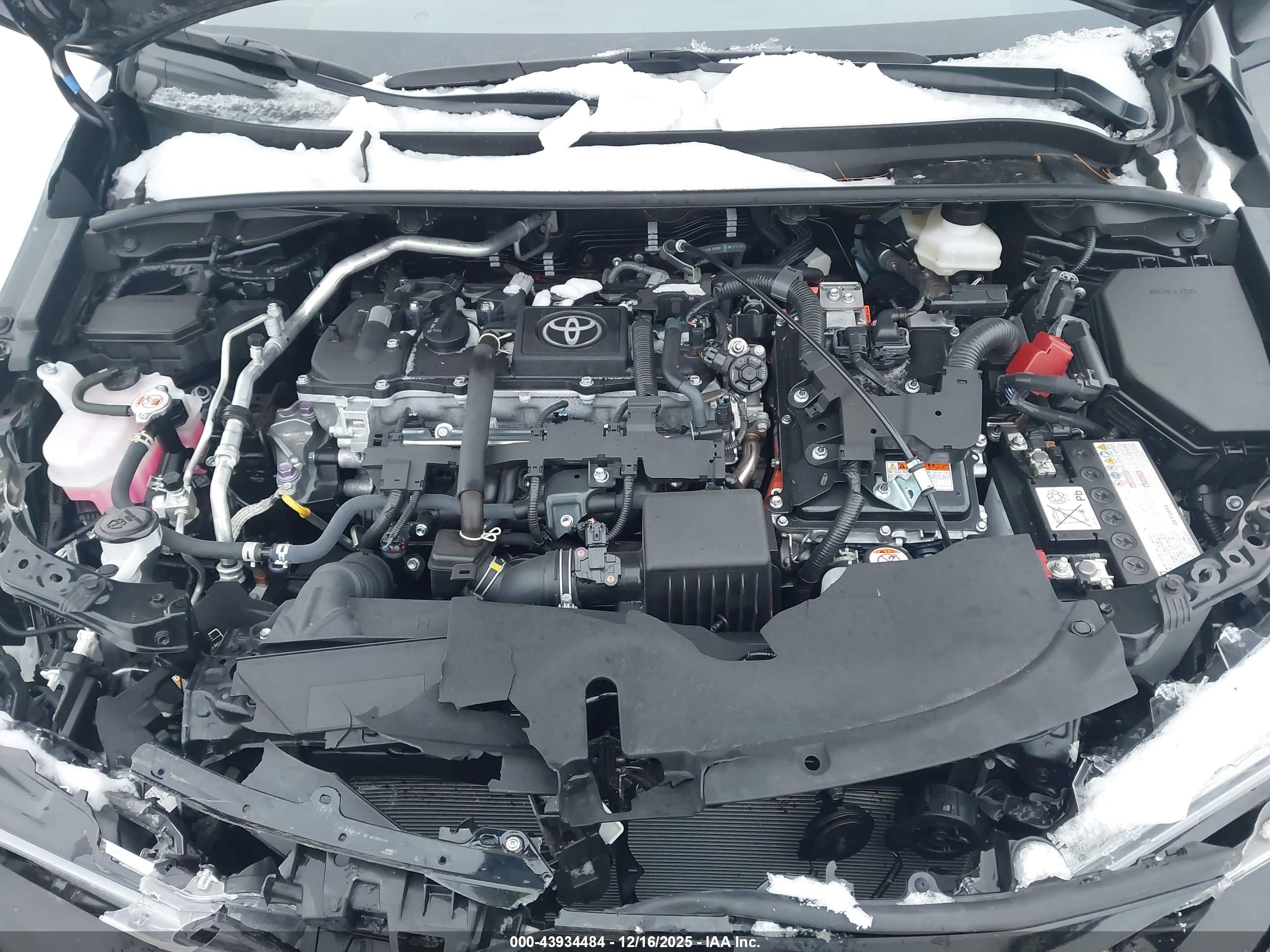 TOYOTA COROLLA image 10