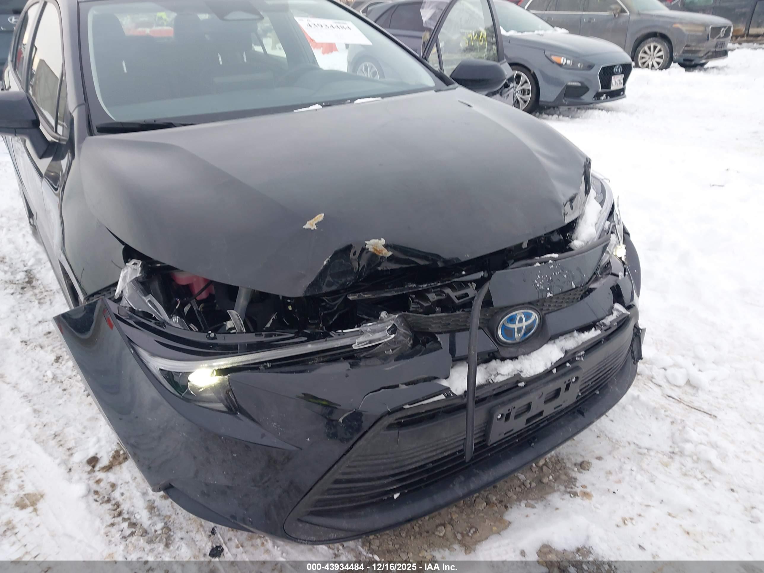 TOYOTA COROLLA image 6