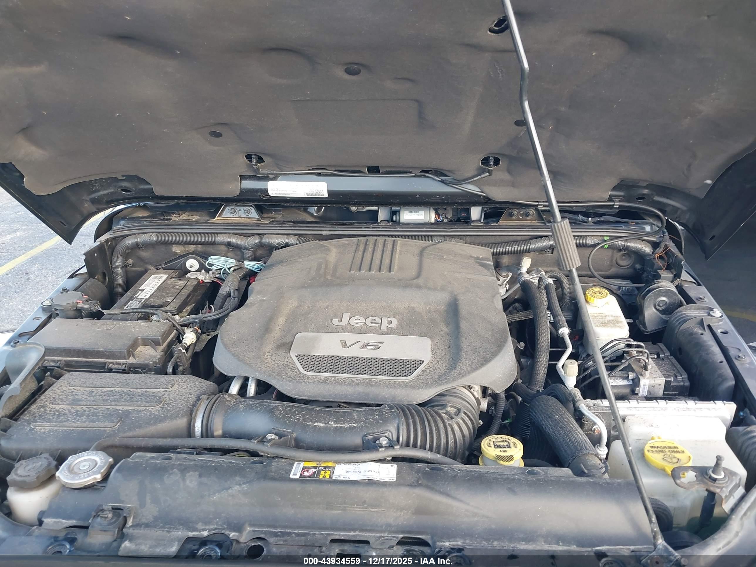 JEEP WRANGLER image 10
