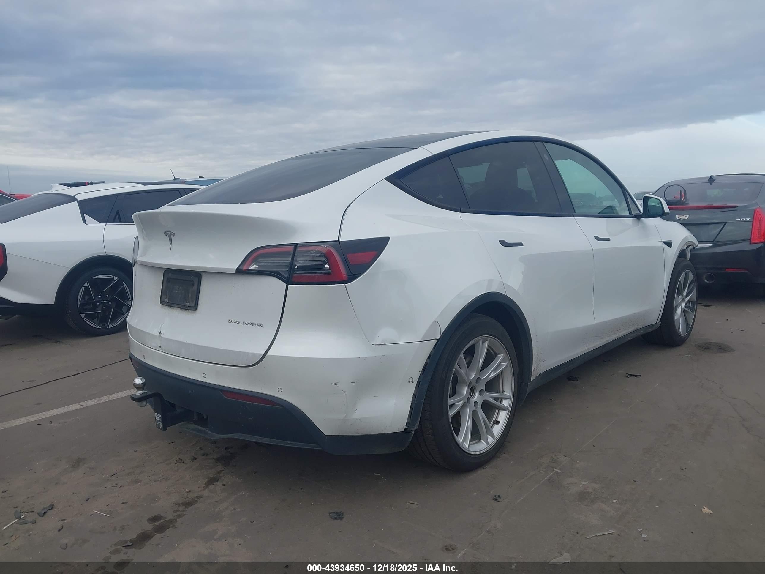 TESLA MODEL image 4