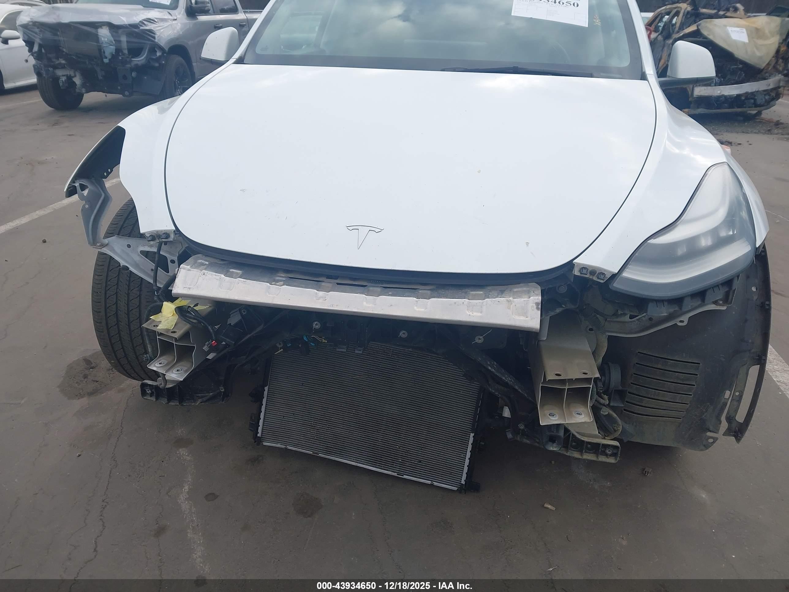 TESLA MODEL image 6