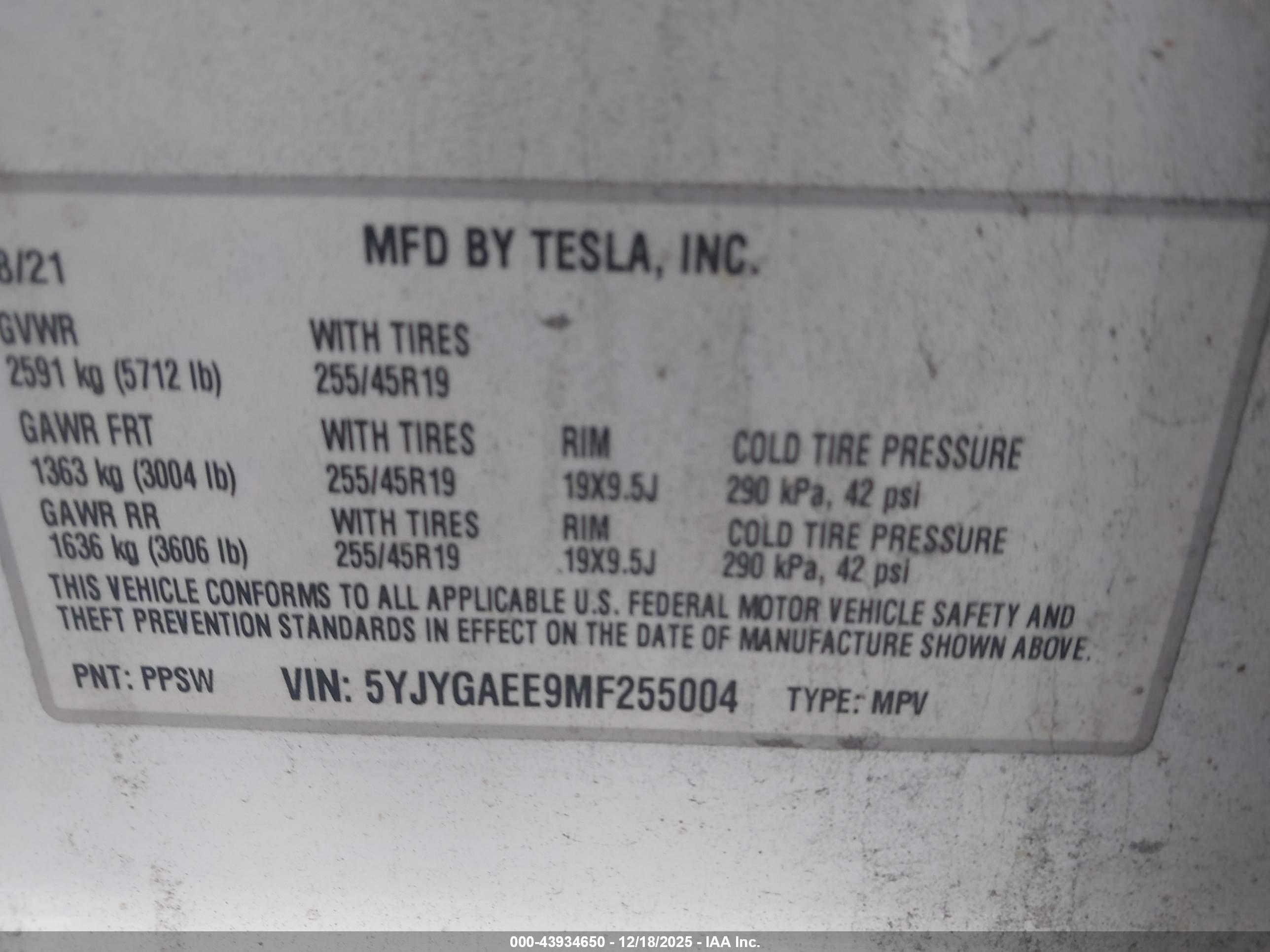 TESLA MODEL image 9