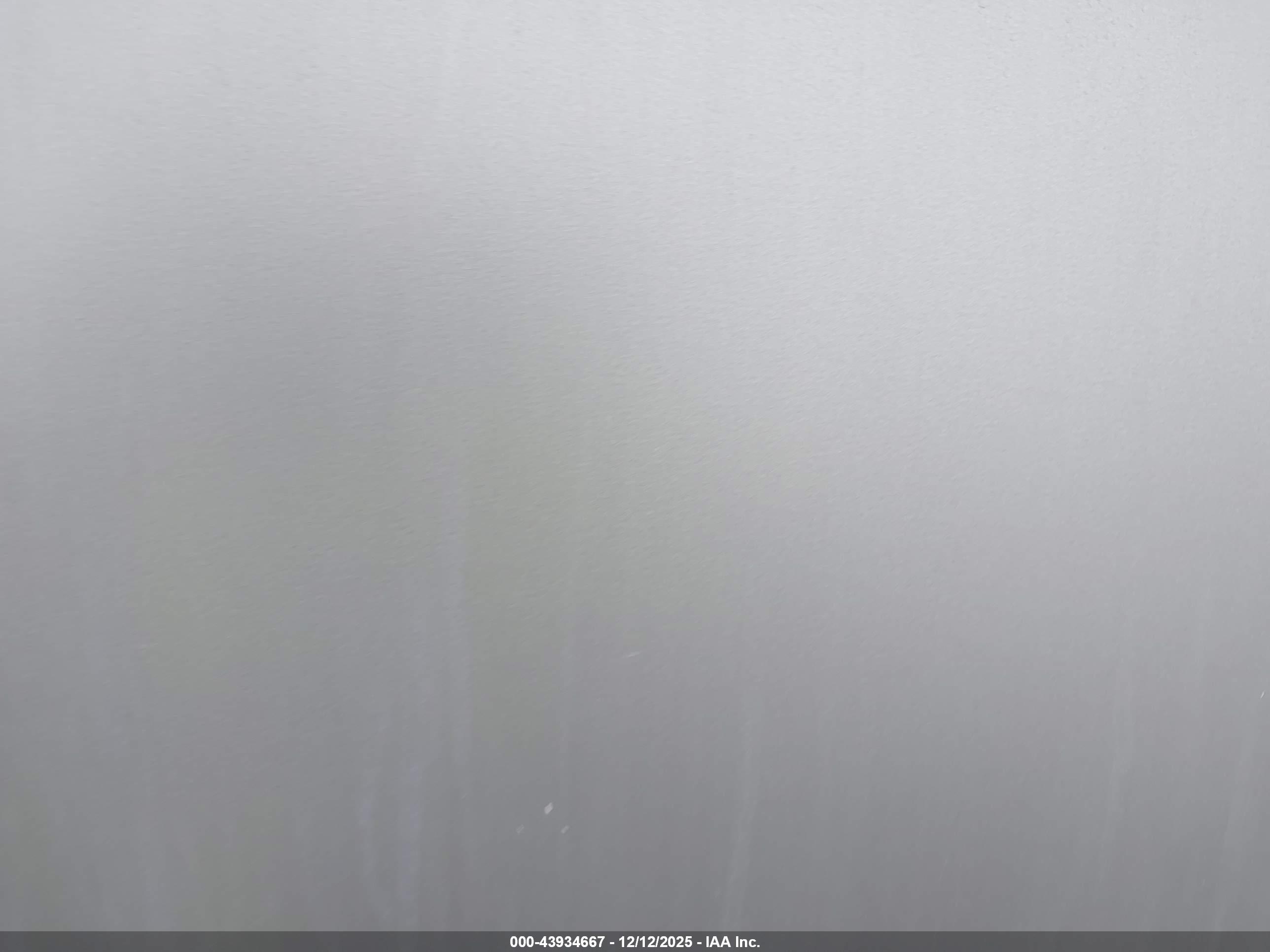 FOREST RIVER image 7