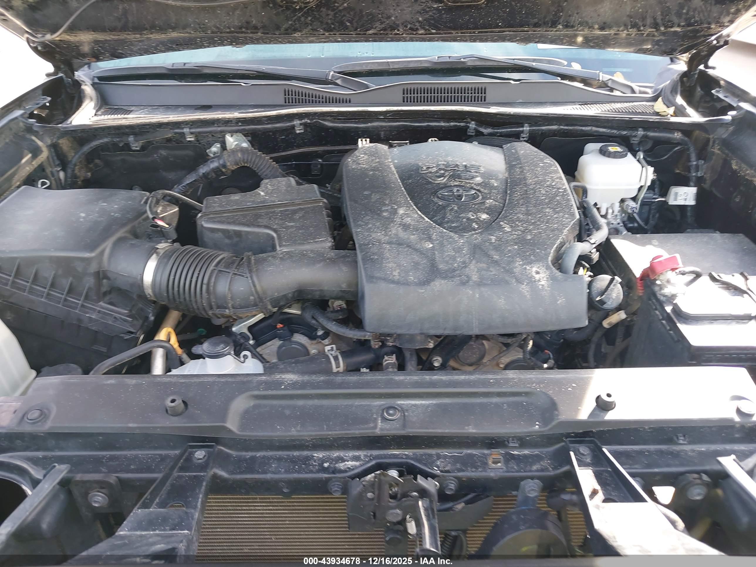 TOYOTA TACOMA image 10