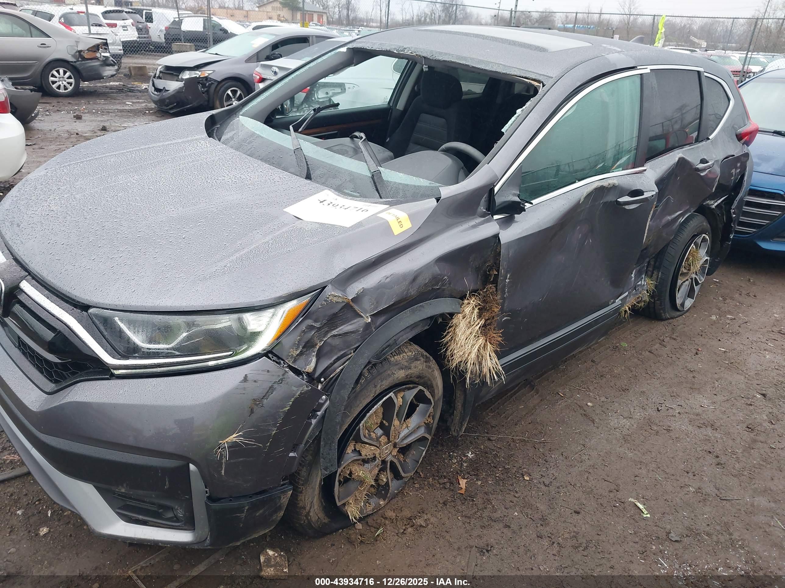 HONDA CR-V image 6