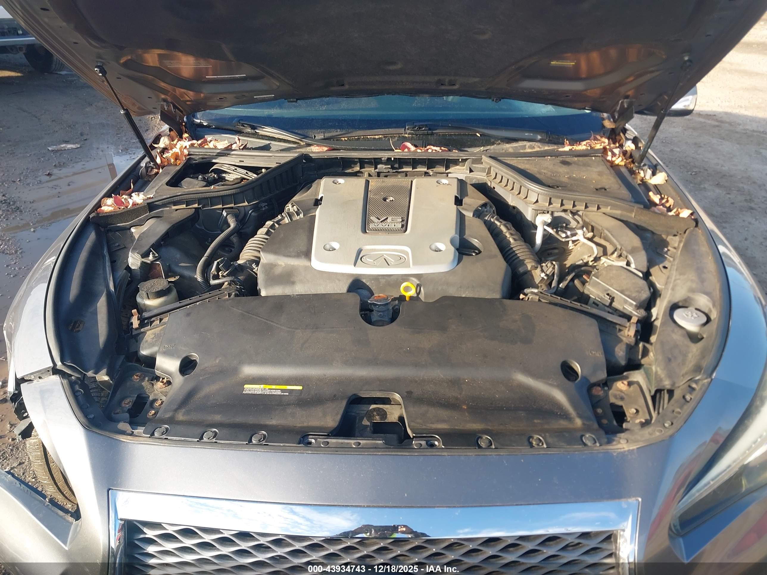 INFINITI Q50 image 10