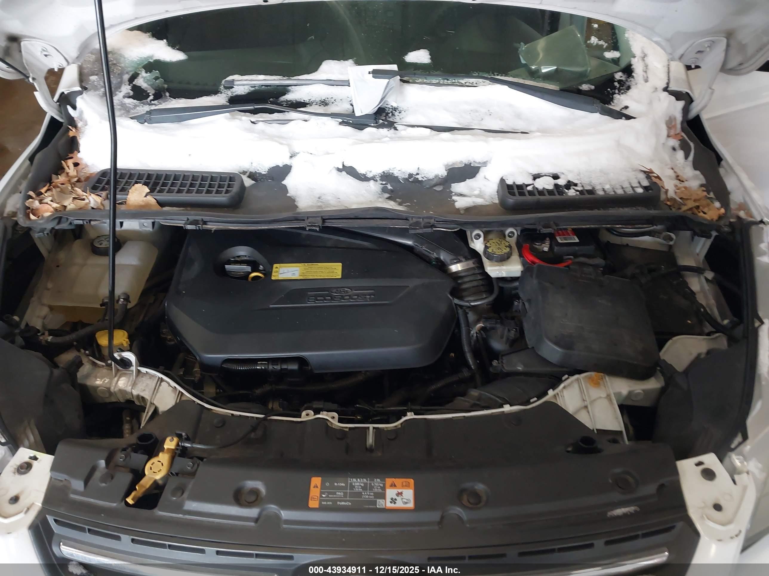 FORD ESCAPE image 10