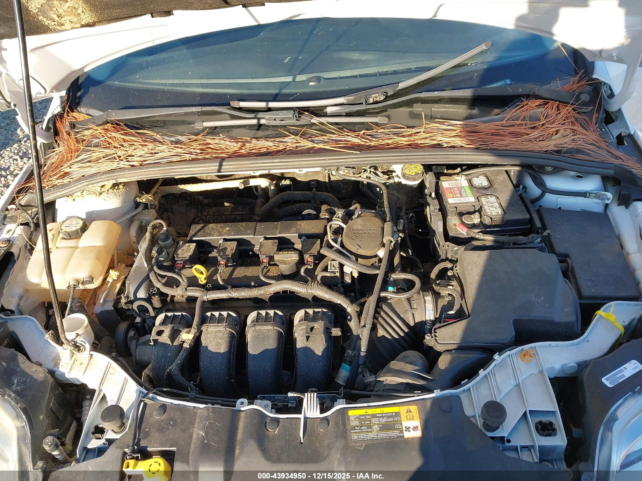 FORD FOCUS image 10