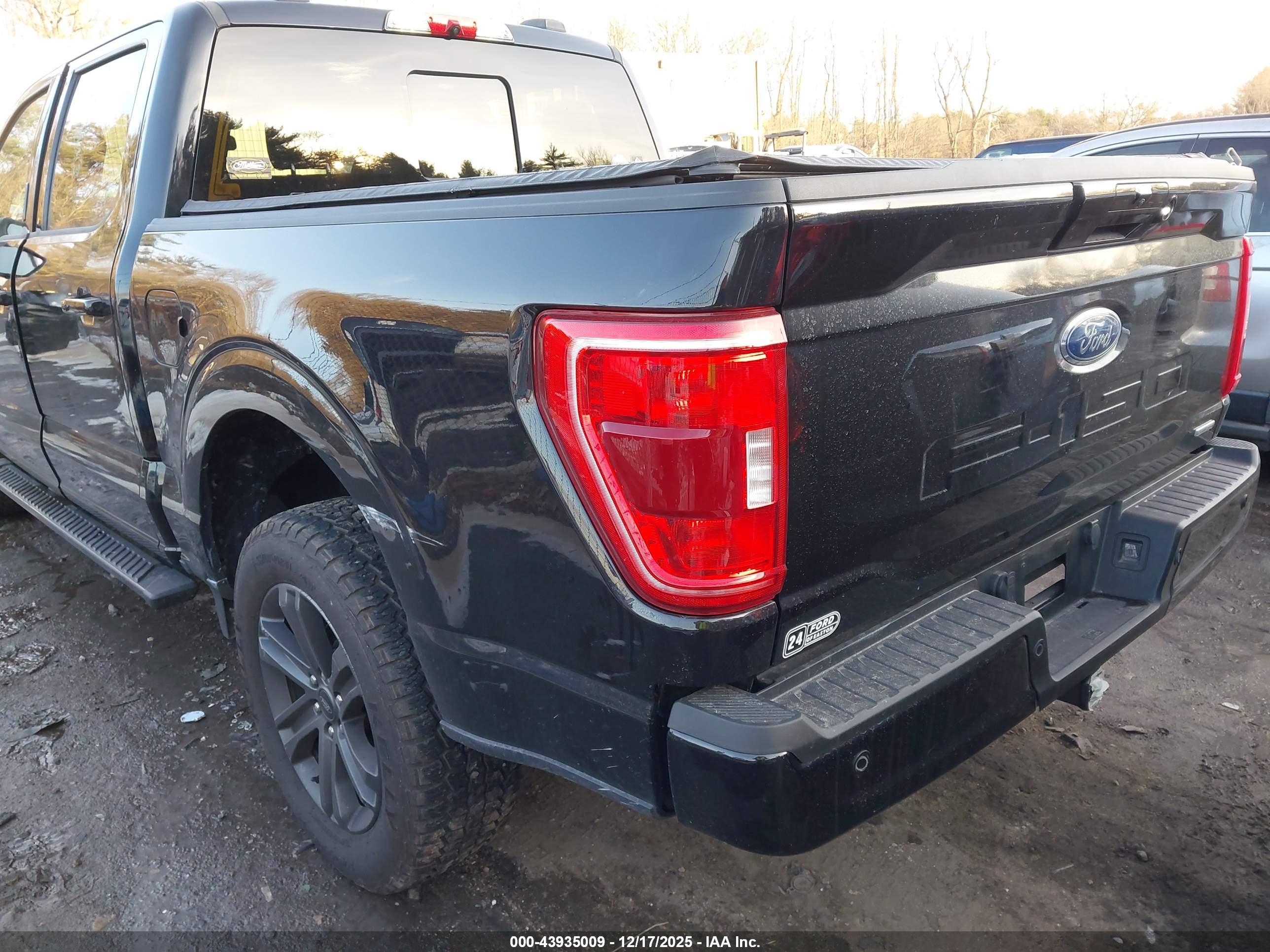 FORD F-150 image 3