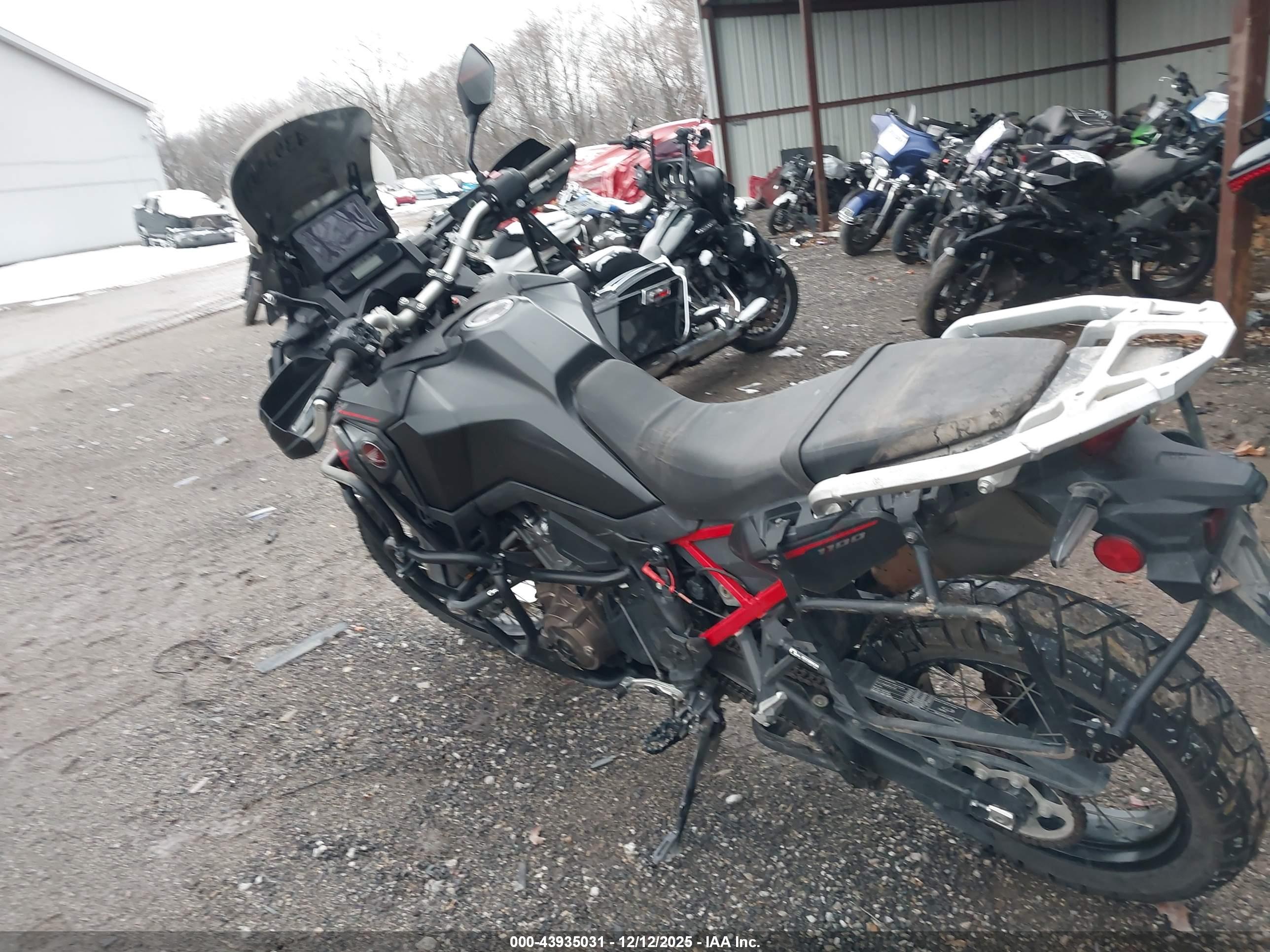 HONDA CRF1100 image 3