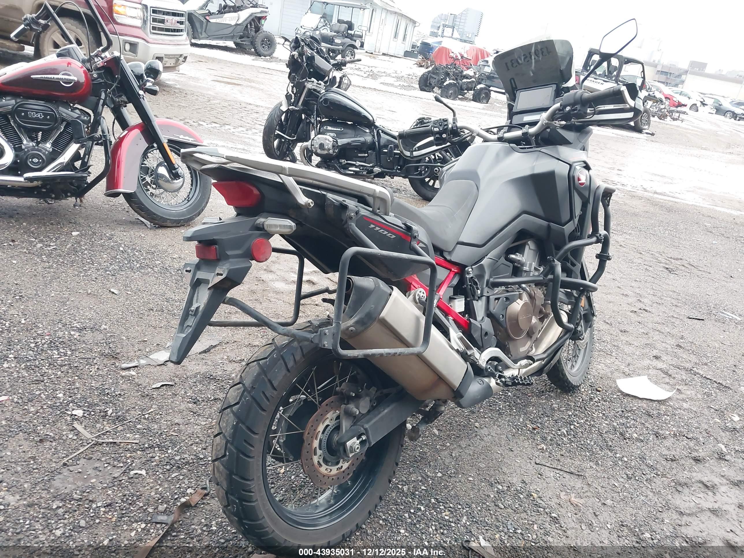 HONDA CRF1100 image 4
