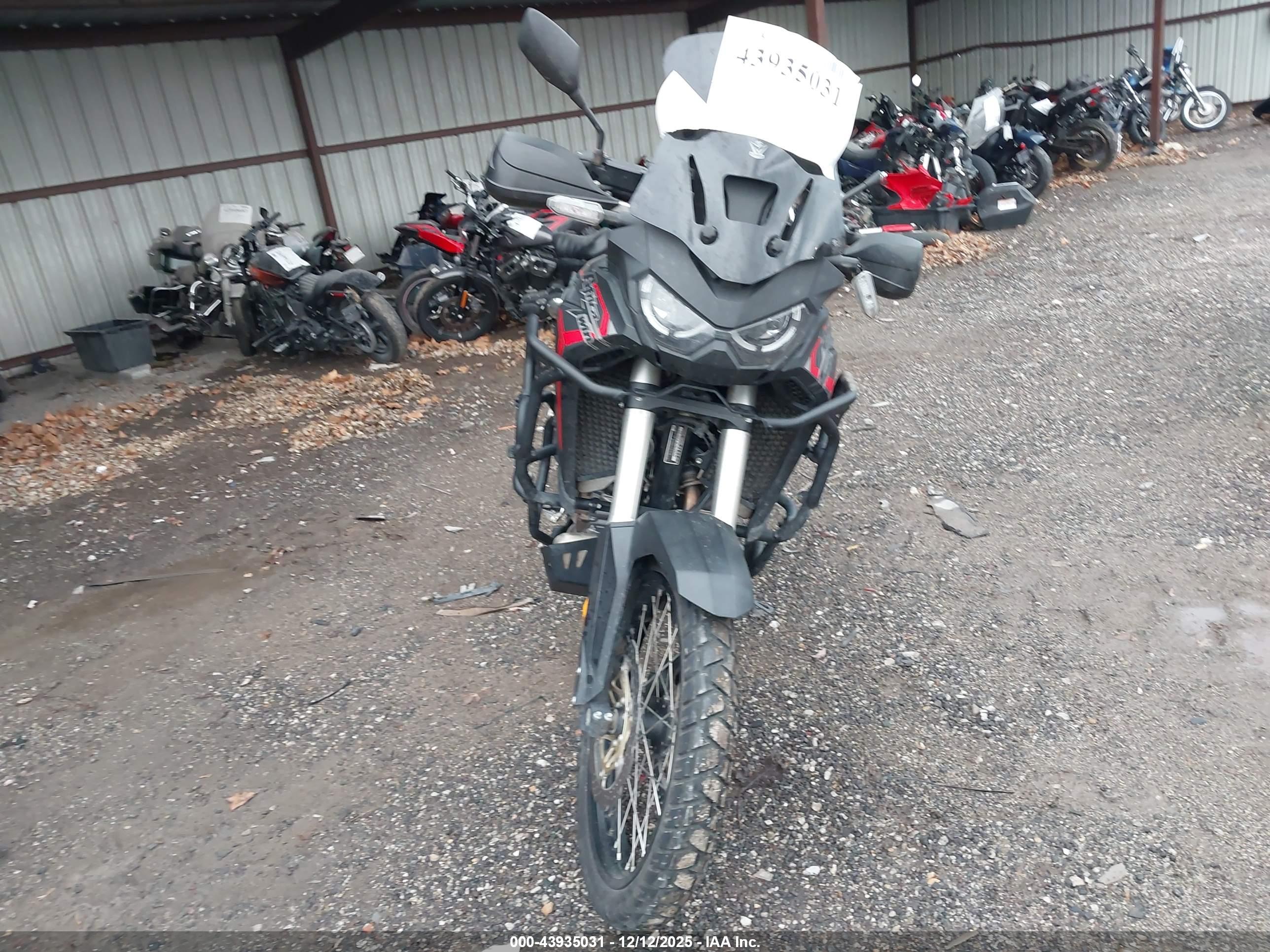 HONDA CRF1100 image 5