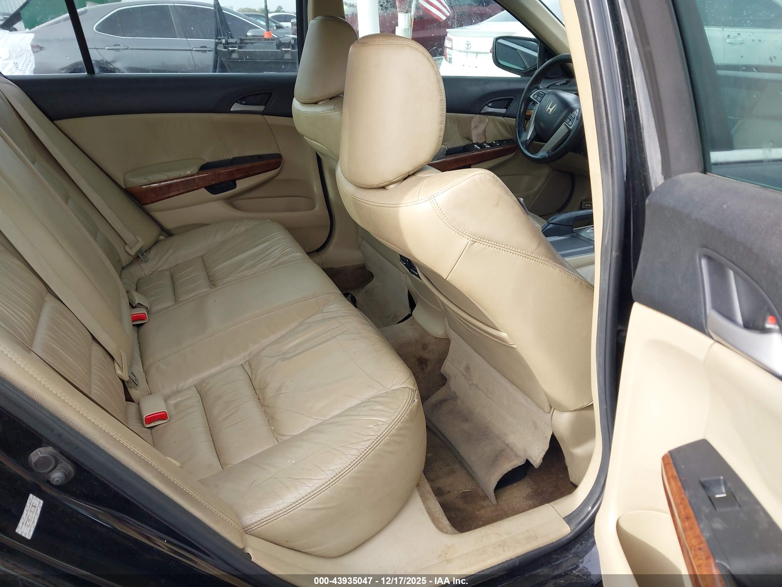 HONDA ACCORD image 8