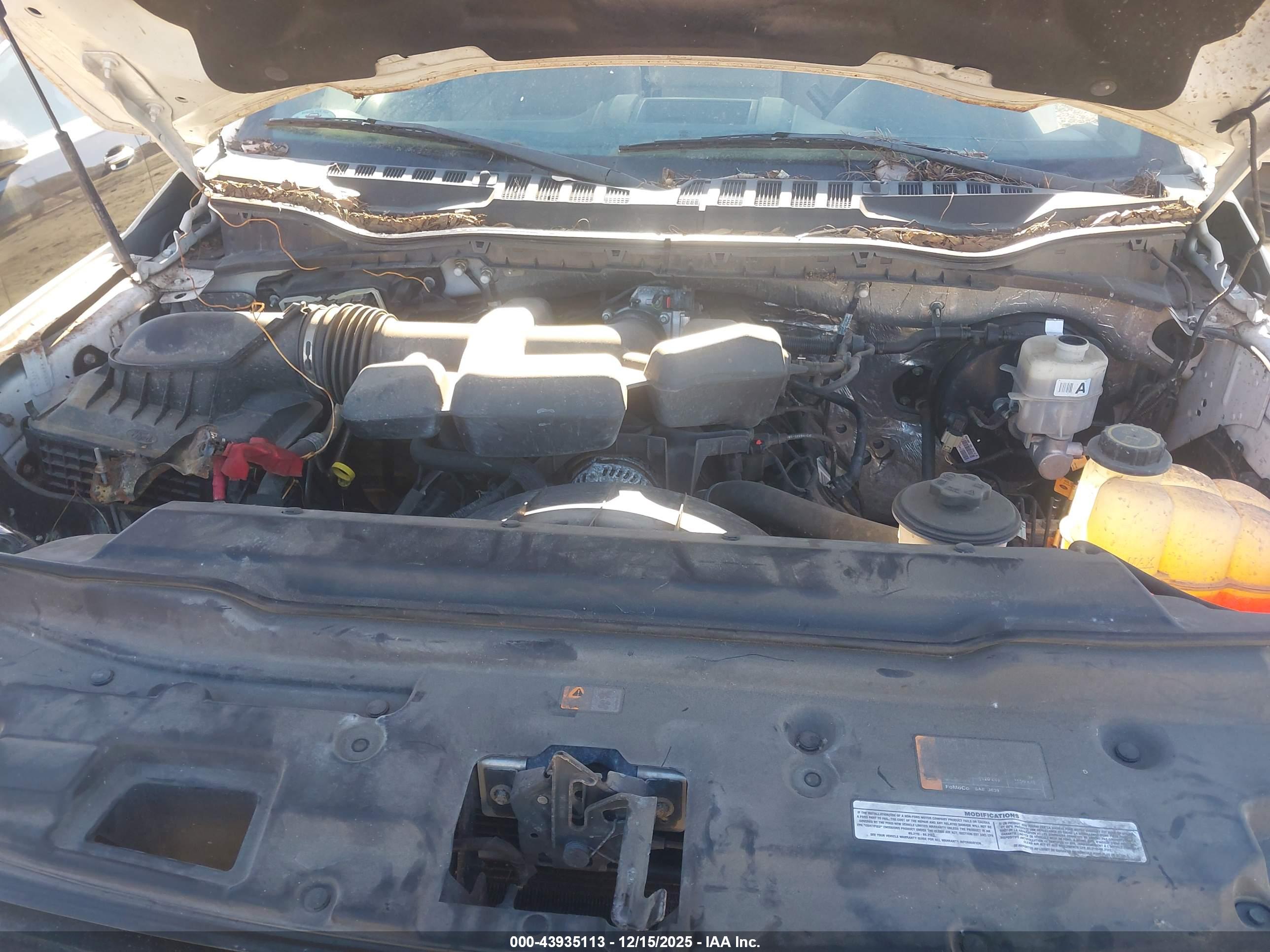FORD F-250 image 10