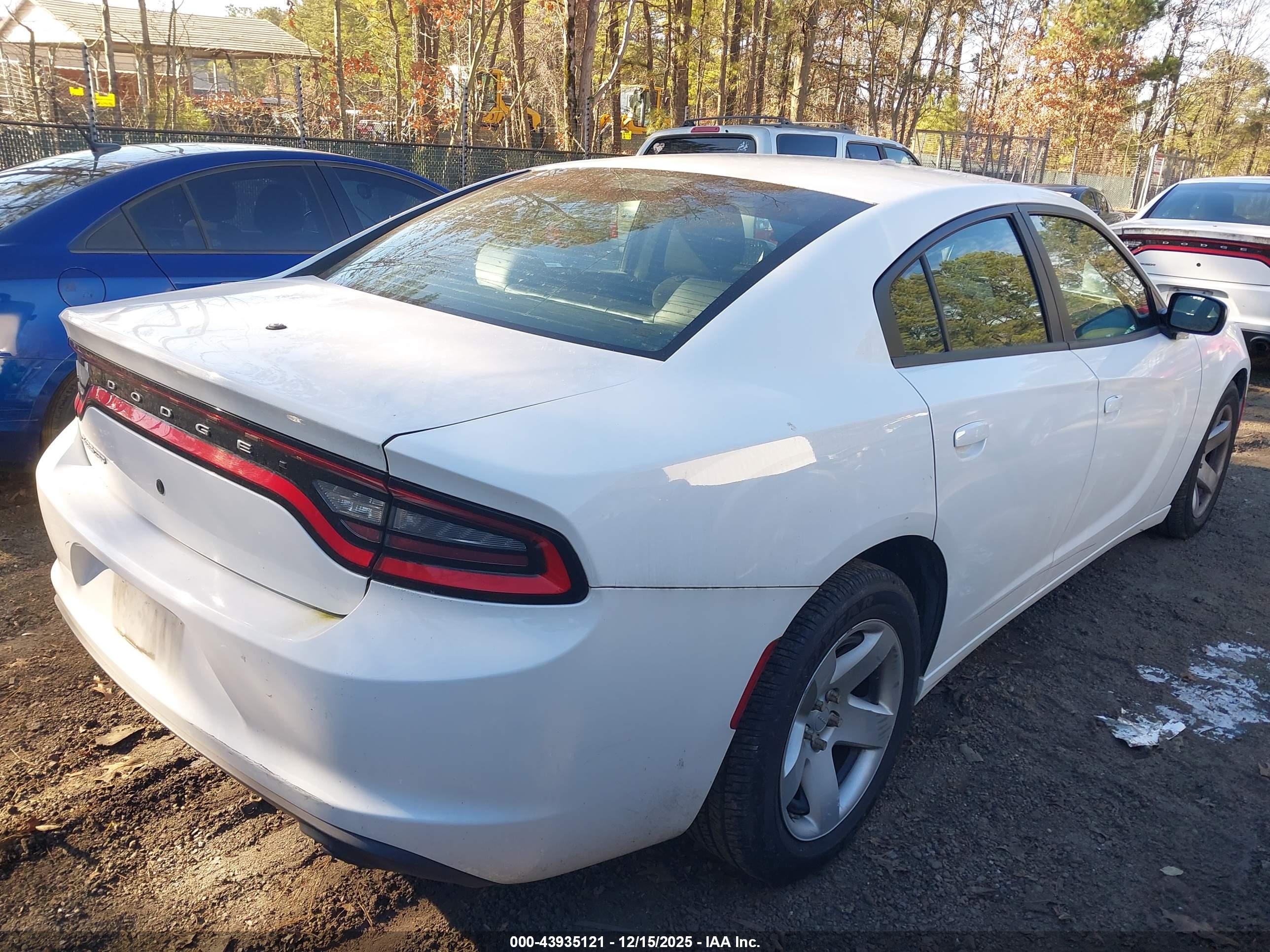 DODGE CHARGER image 4