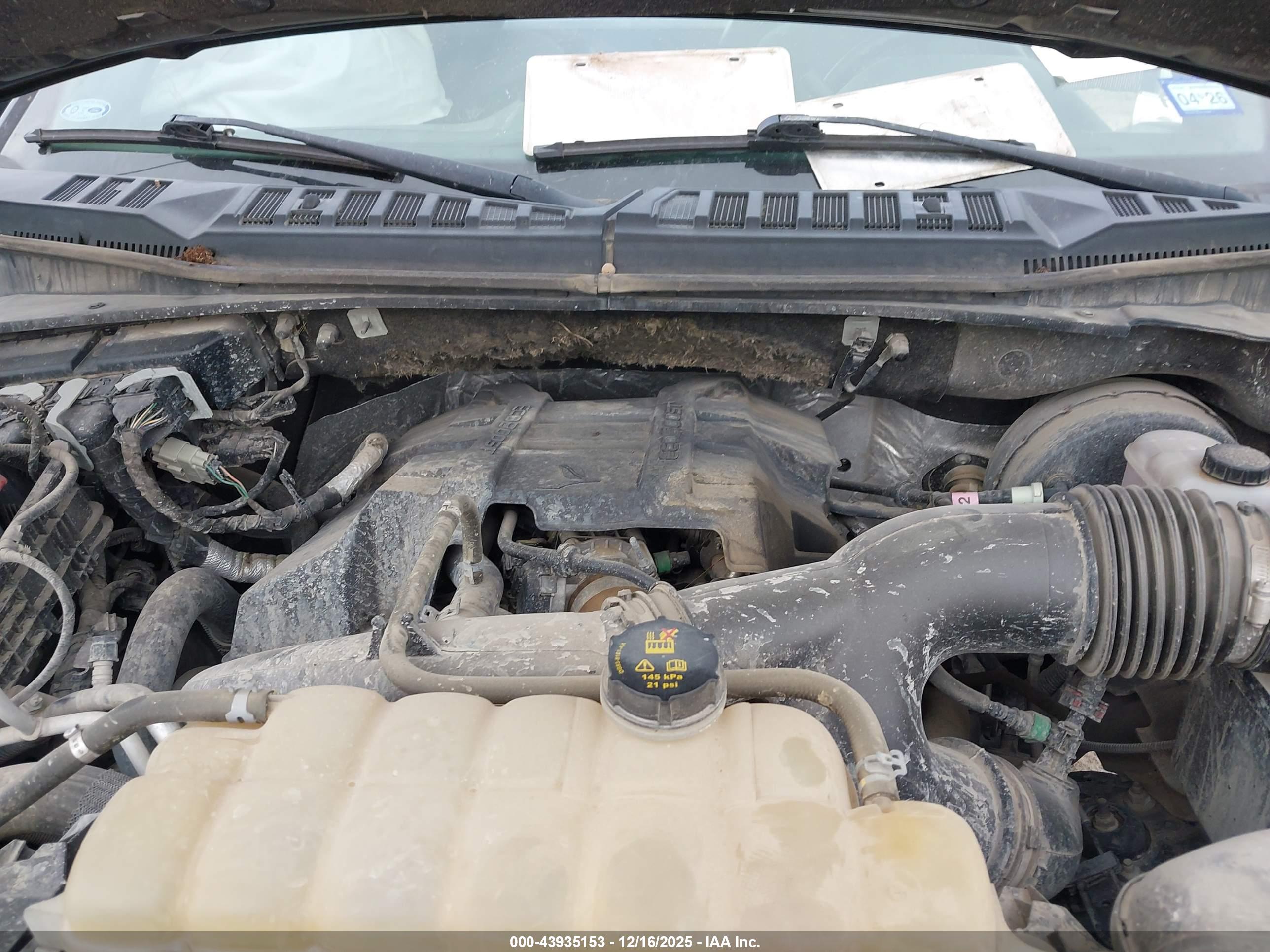 FORD F-150 image 10
