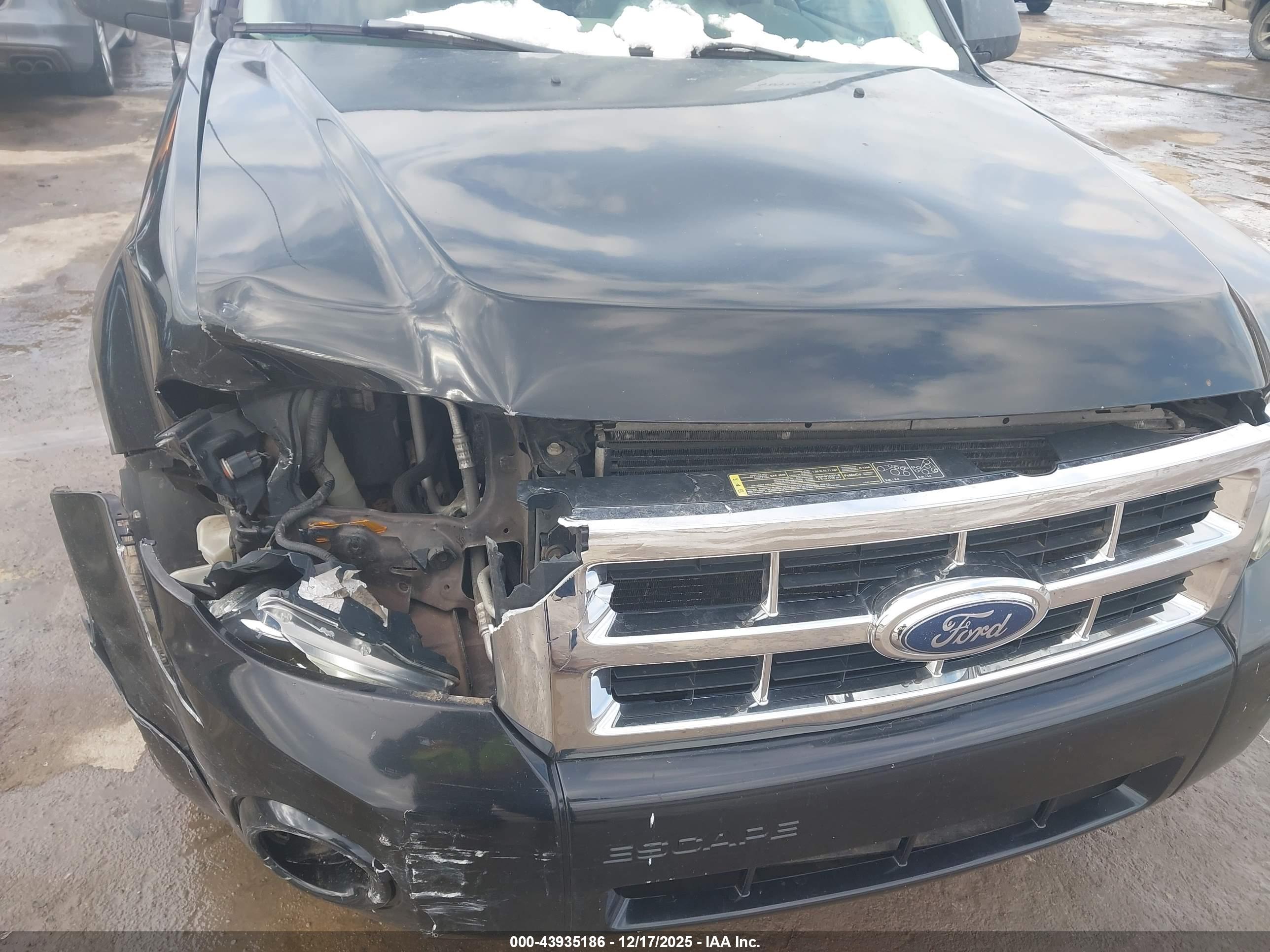 FORD ESCAPE image 6