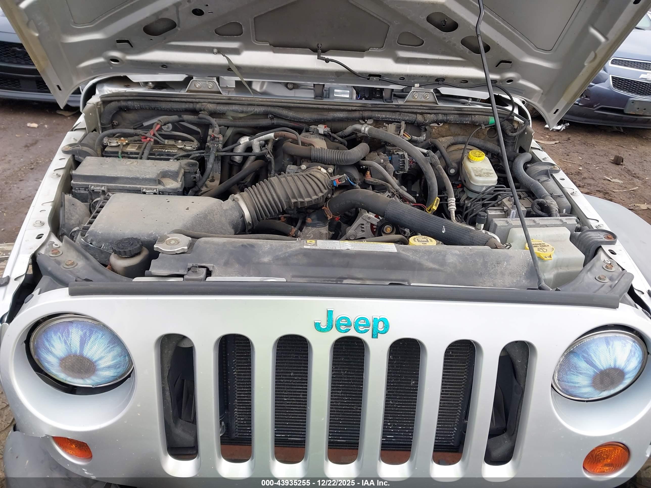 JEEP WRANGLER image 10