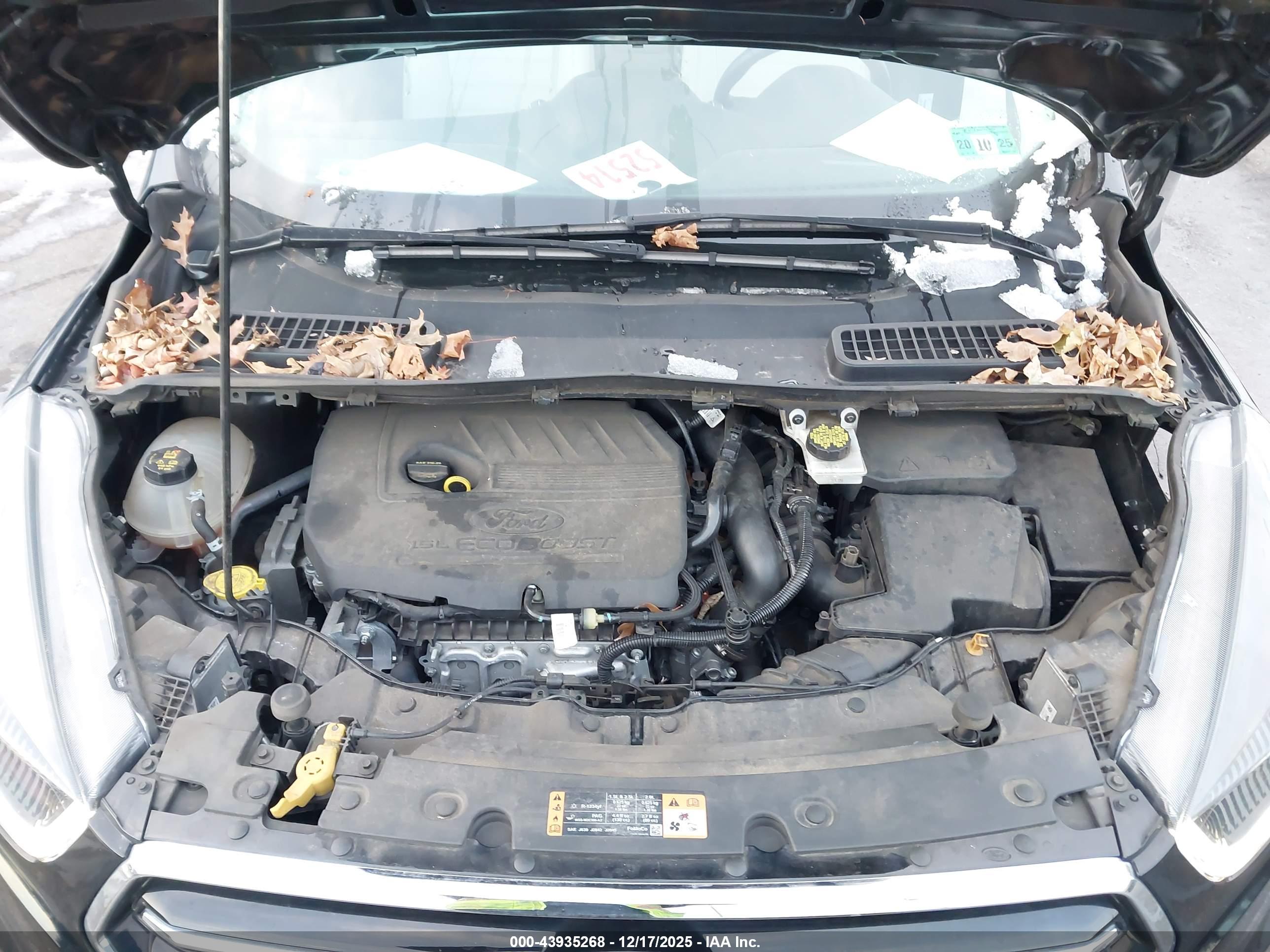 FORD ESCAPE image 10