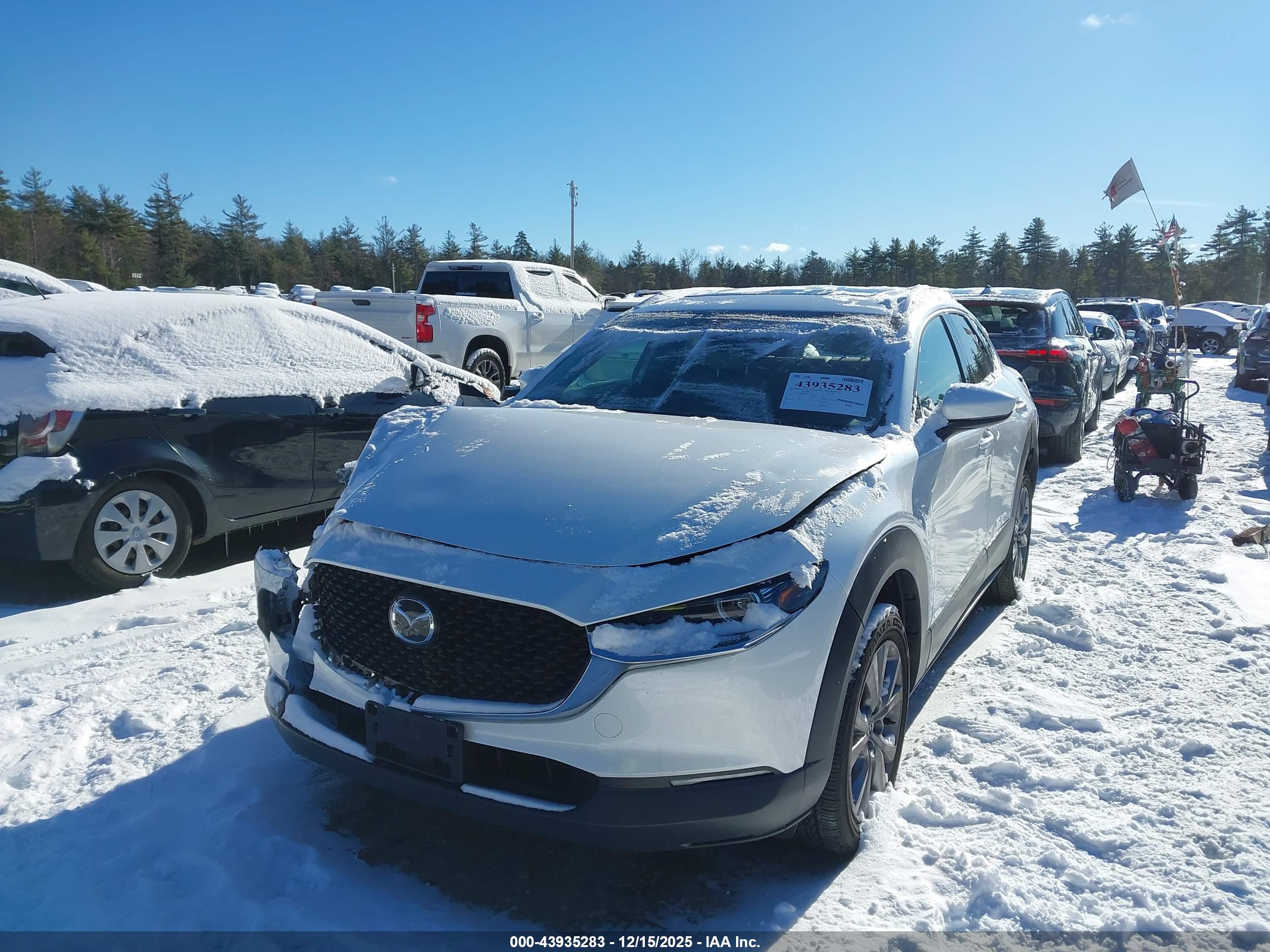 MAZDA CX-30 image 2