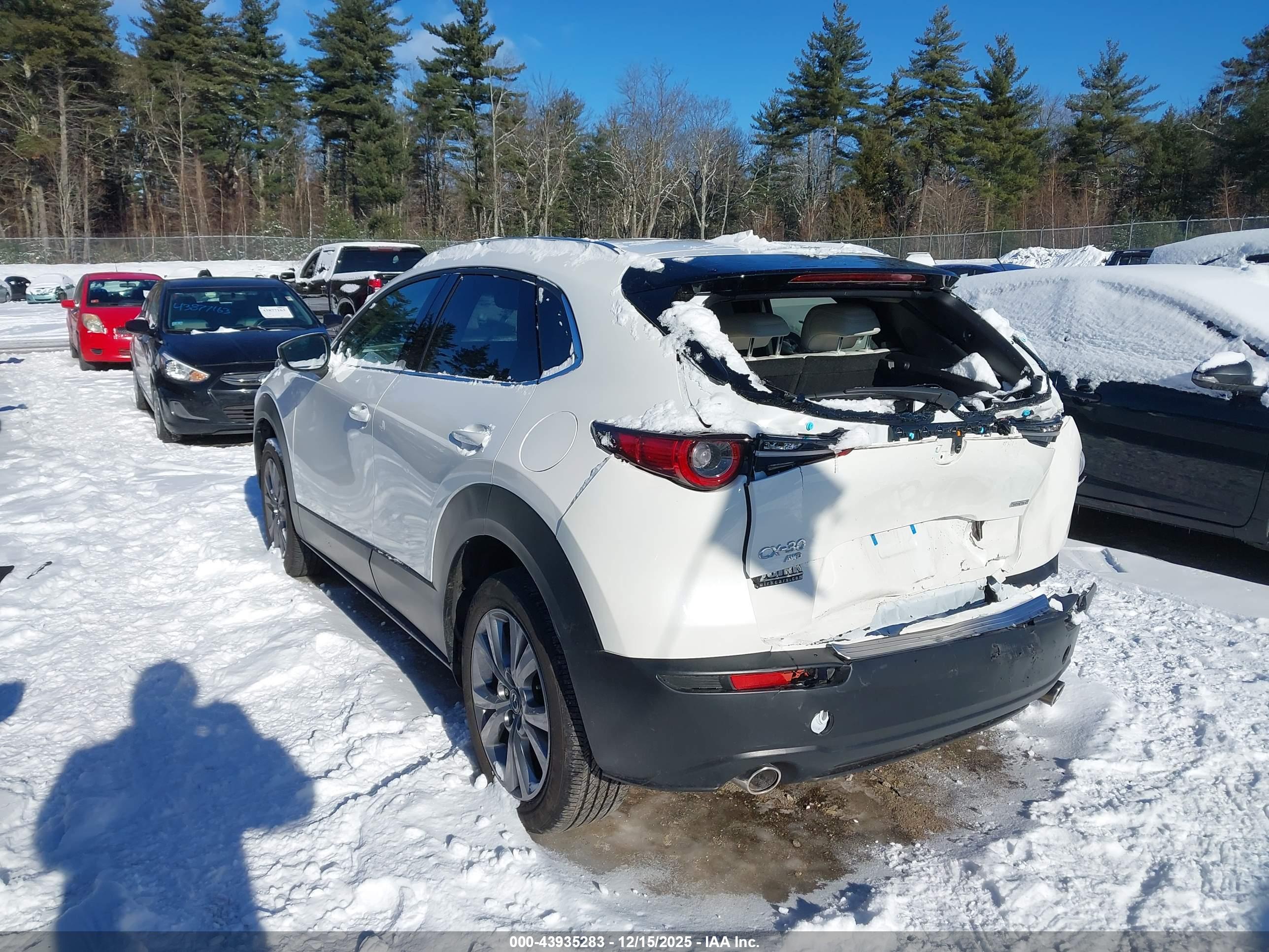MAZDA CX-30 image 3