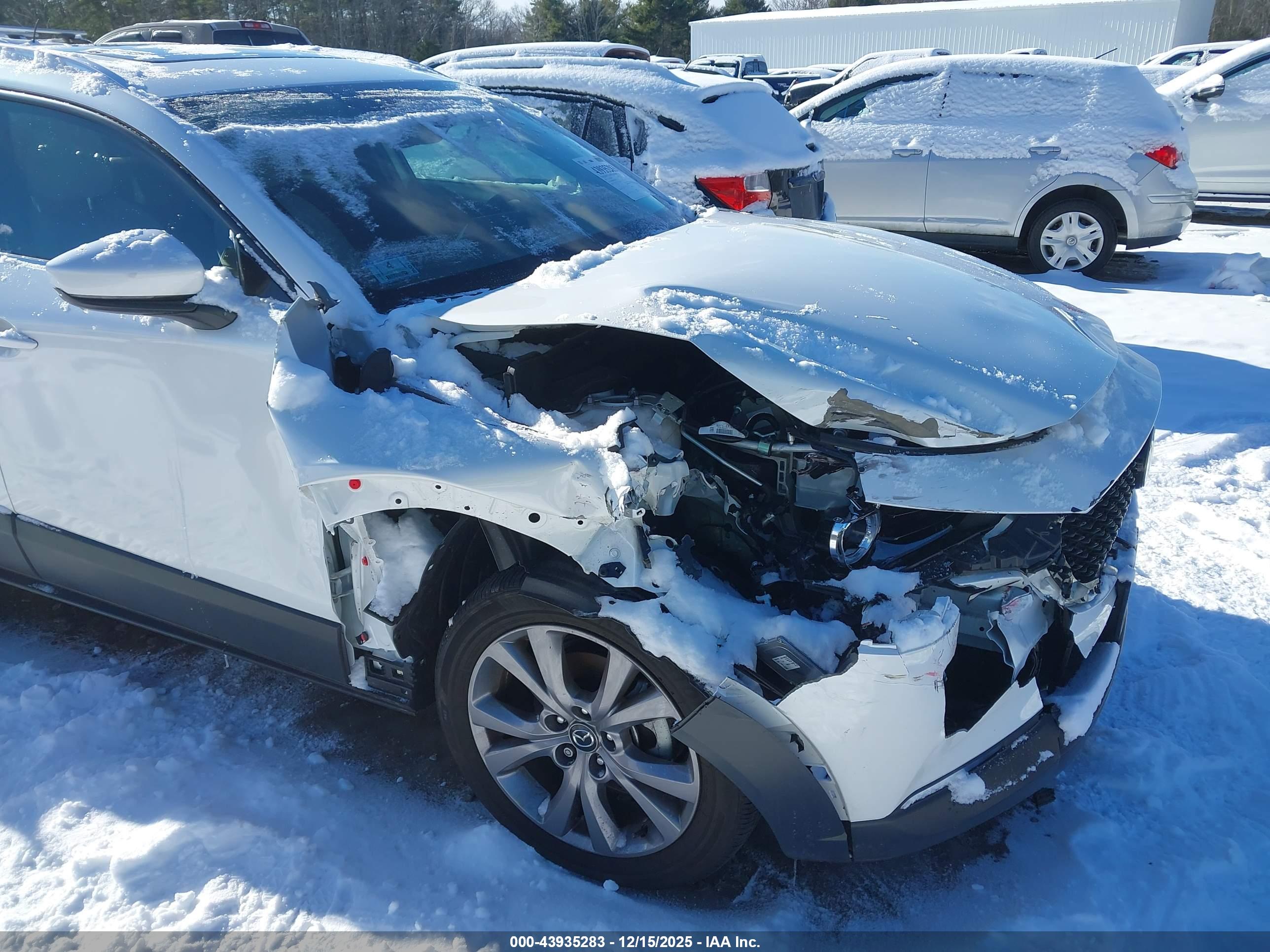 MAZDA CX-30 image 6
