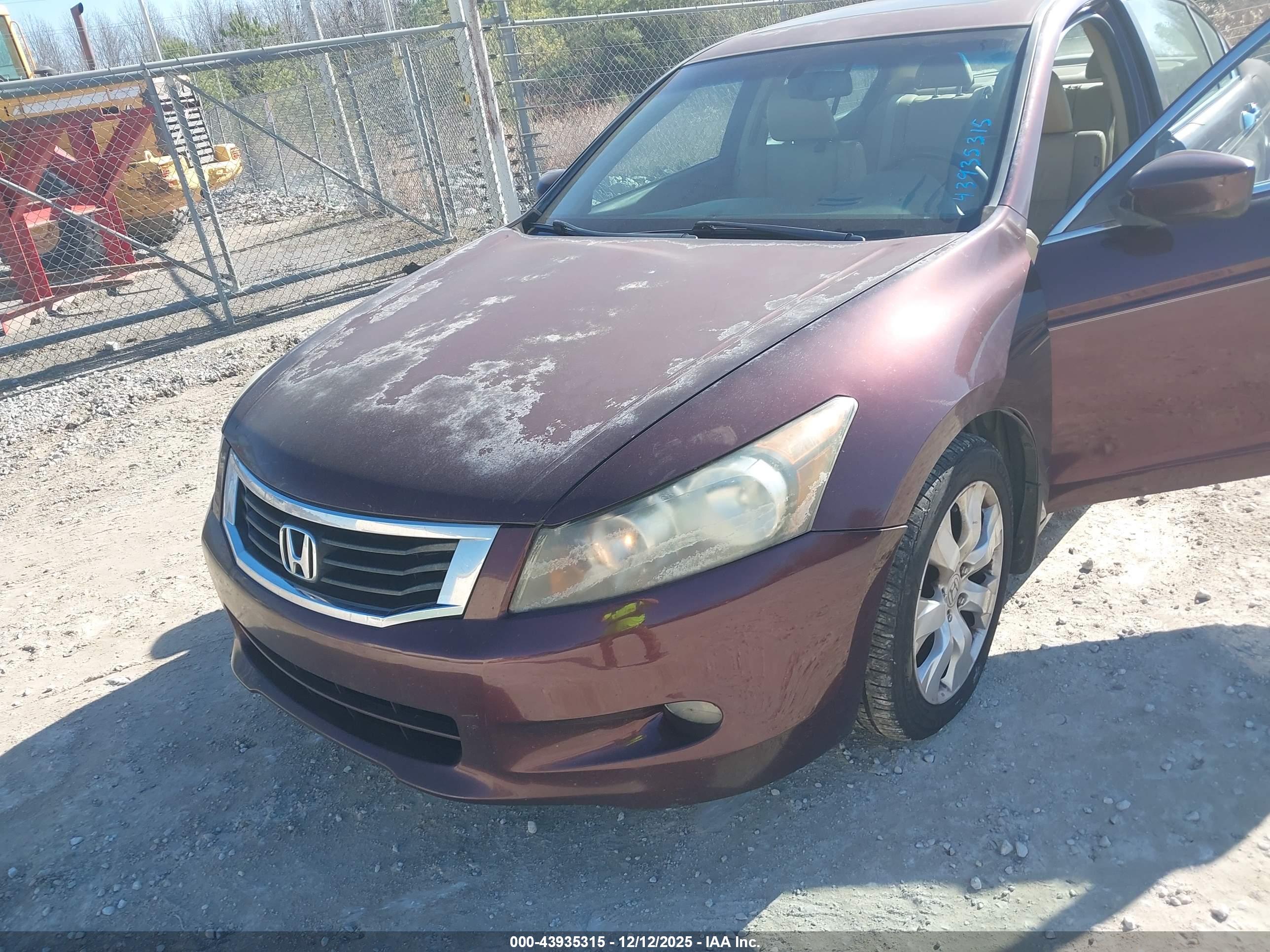 HONDA ACCORD image 6