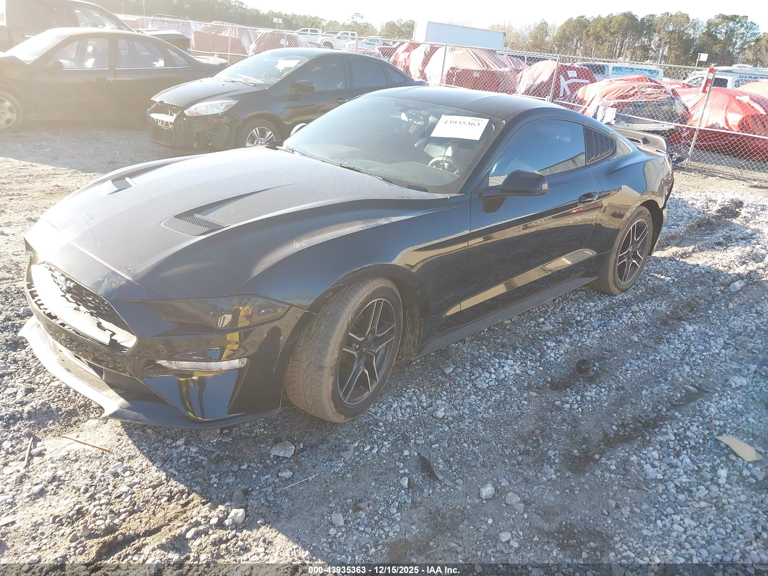 FORD MUSTANG image 2