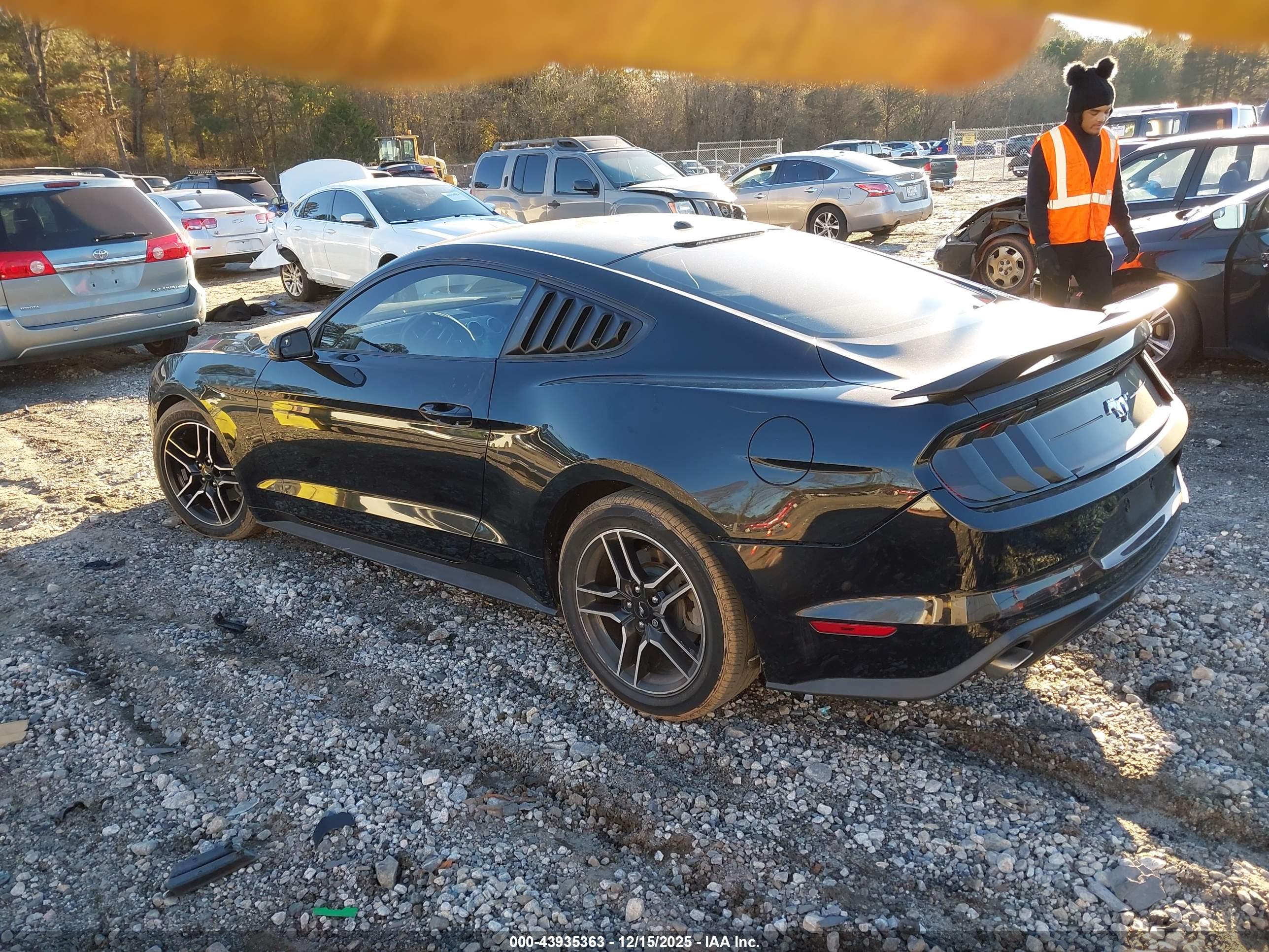 FORD MUSTANG image 3
