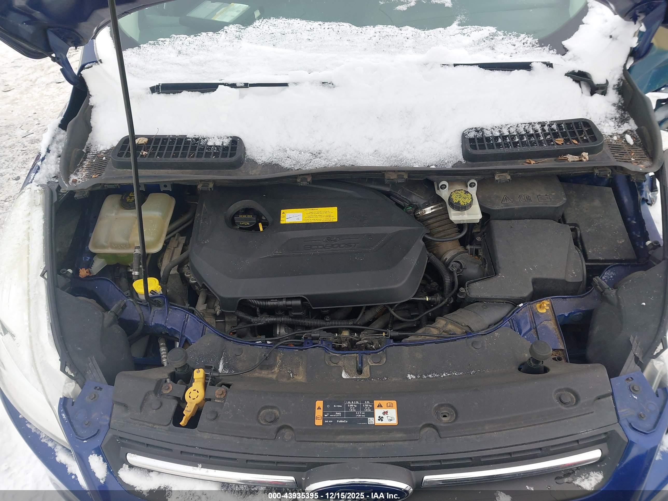 FORD ESCAPE image 10