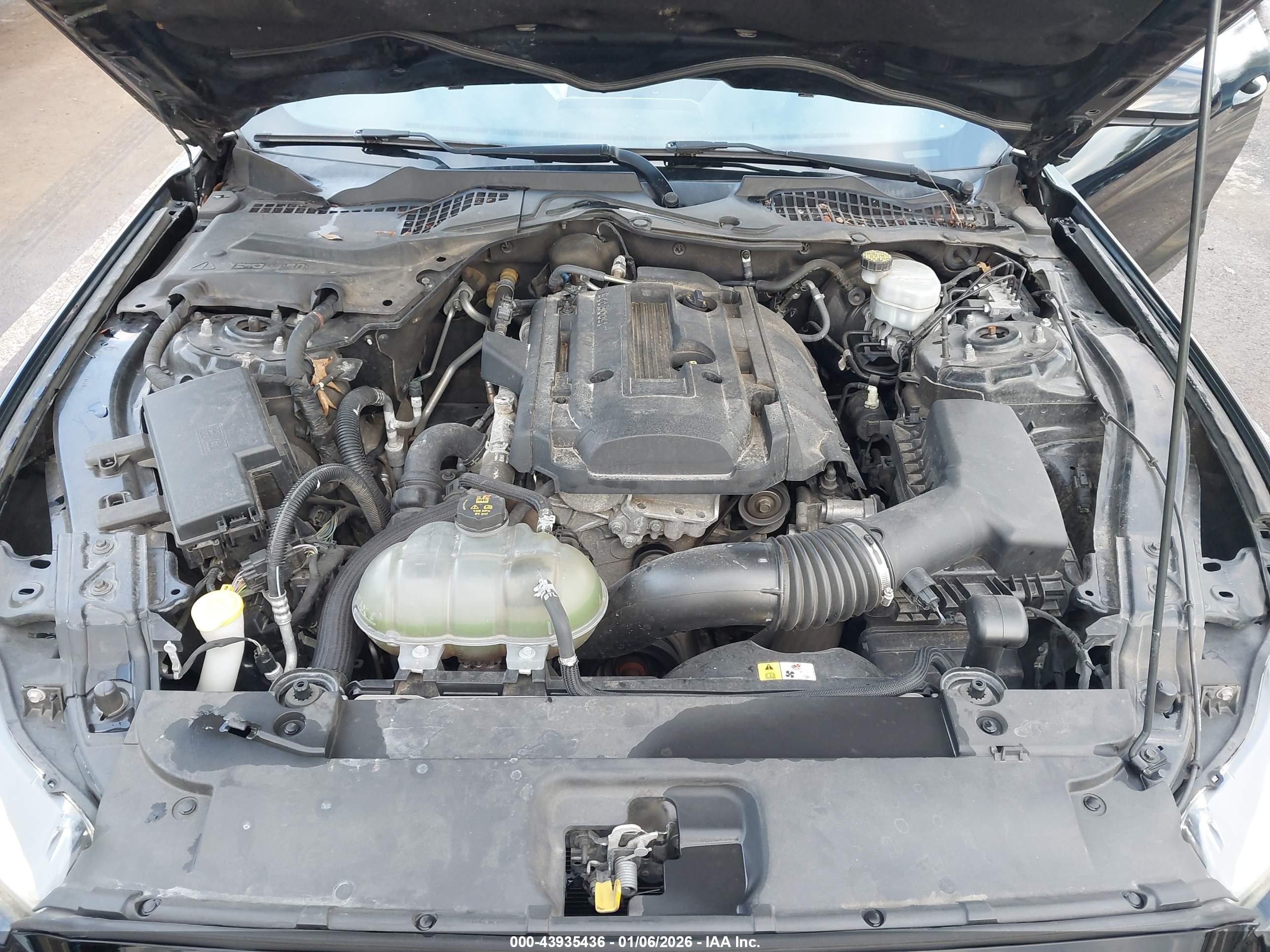 FORD MUSTANG image 10