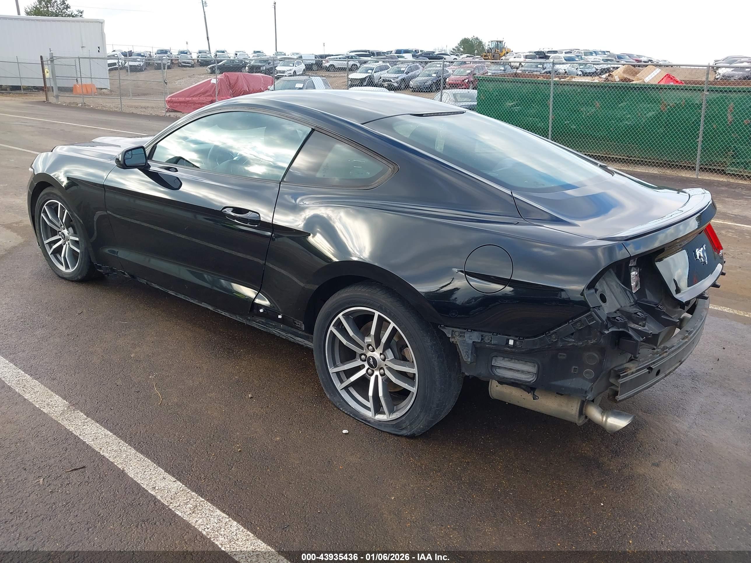 FORD MUSTANG image 3