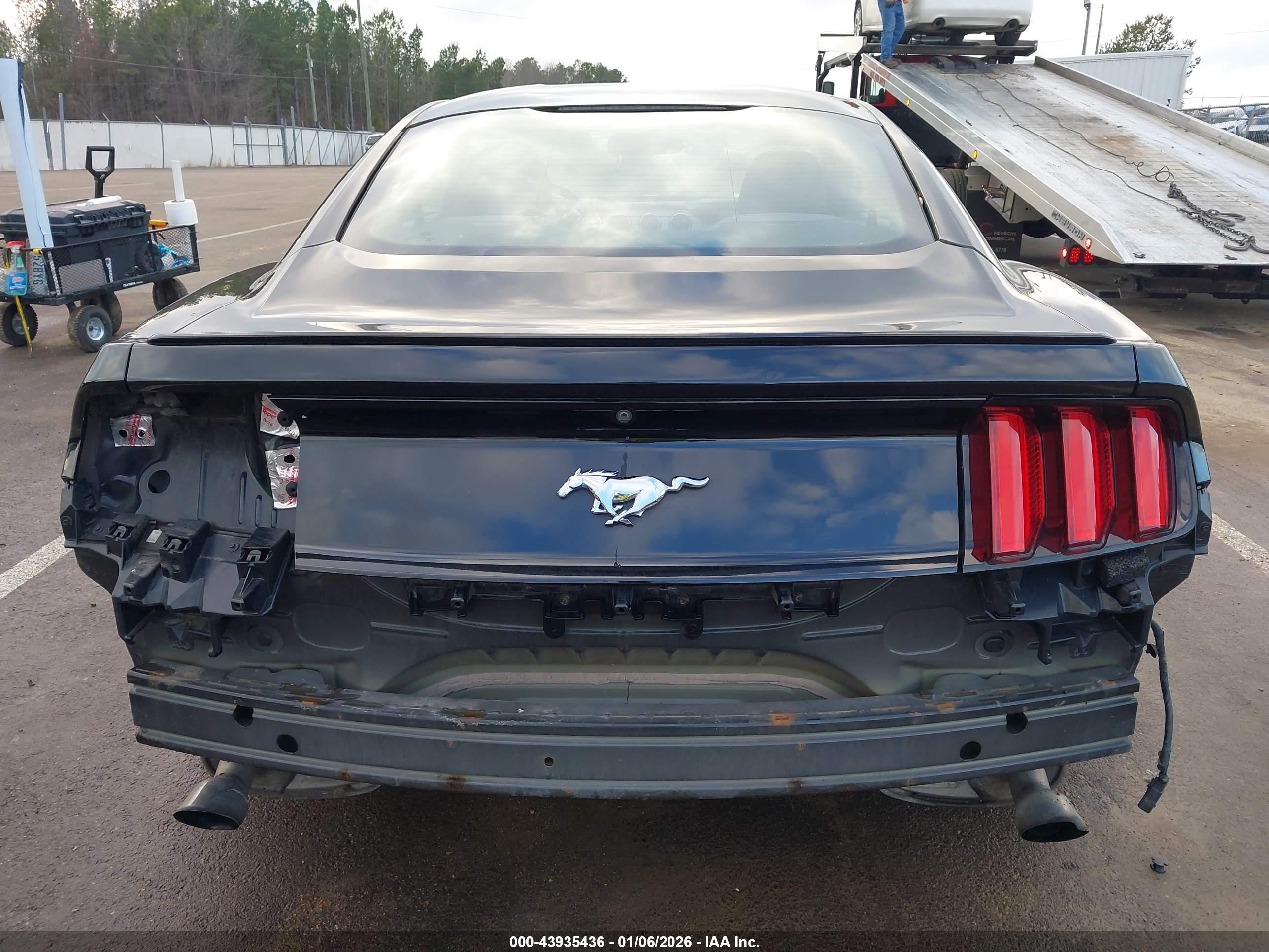FORD MUSTANG image 6