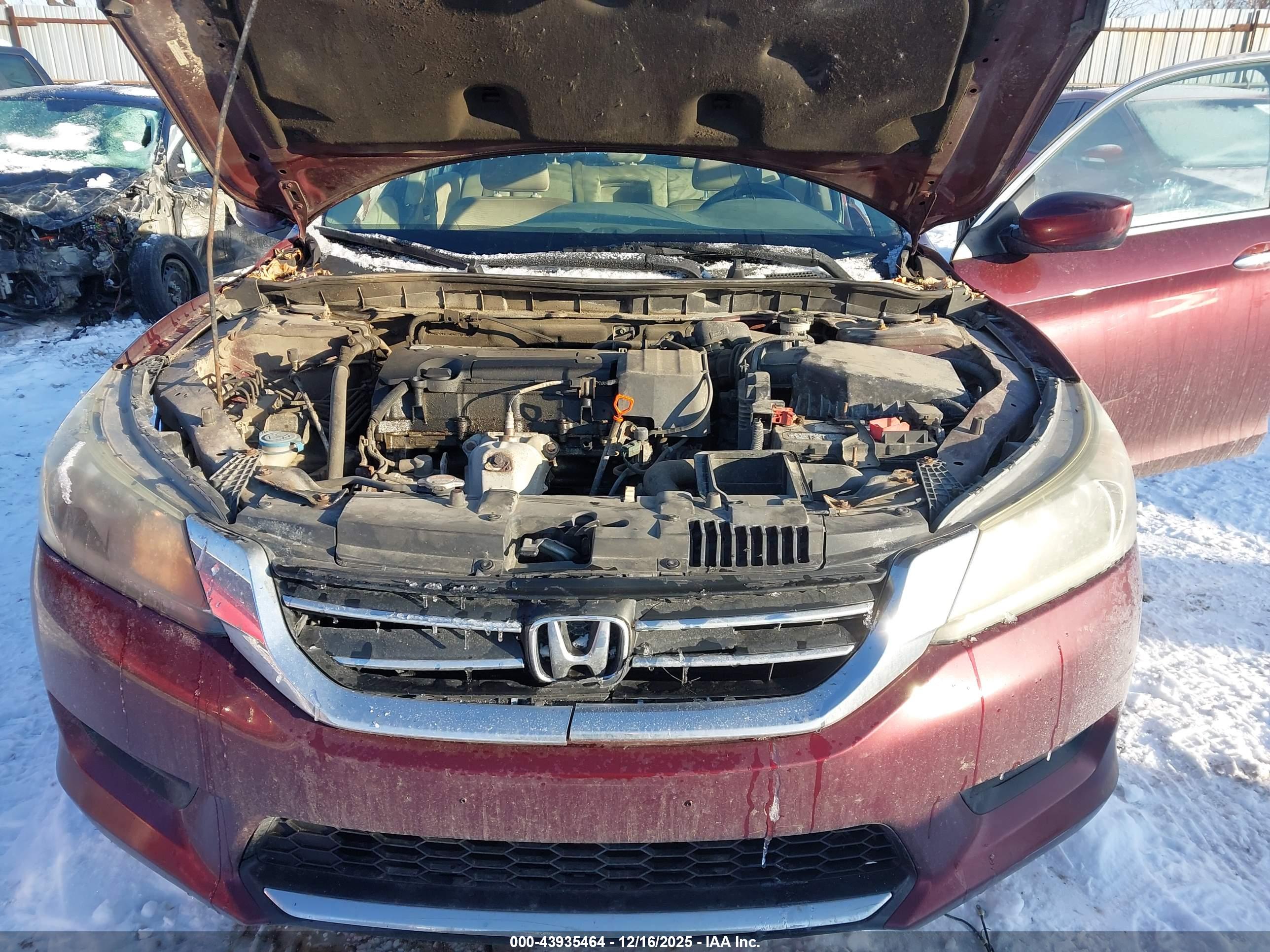 HONDA ACCORD image 10