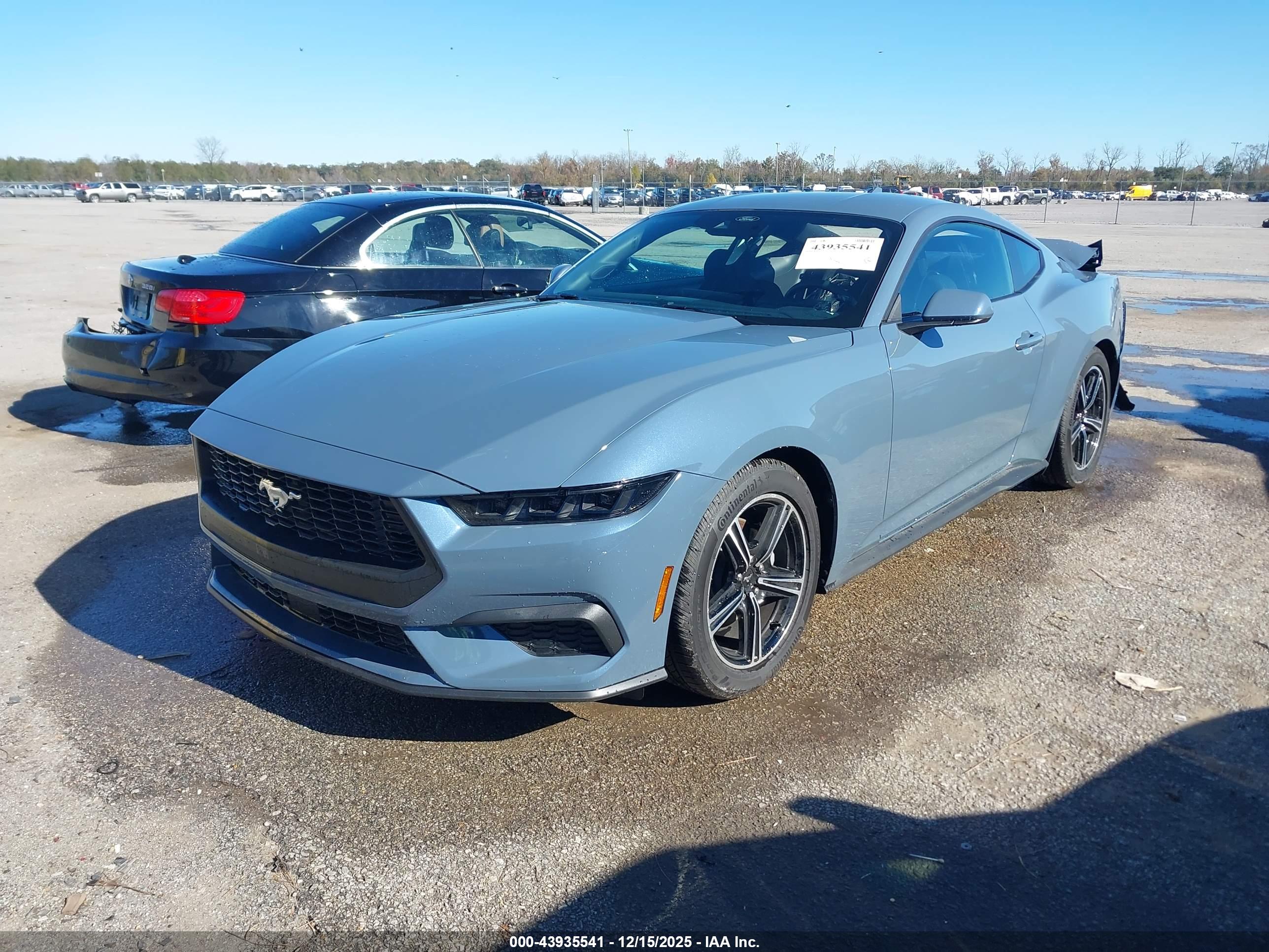 FORD MUSTANG image 2