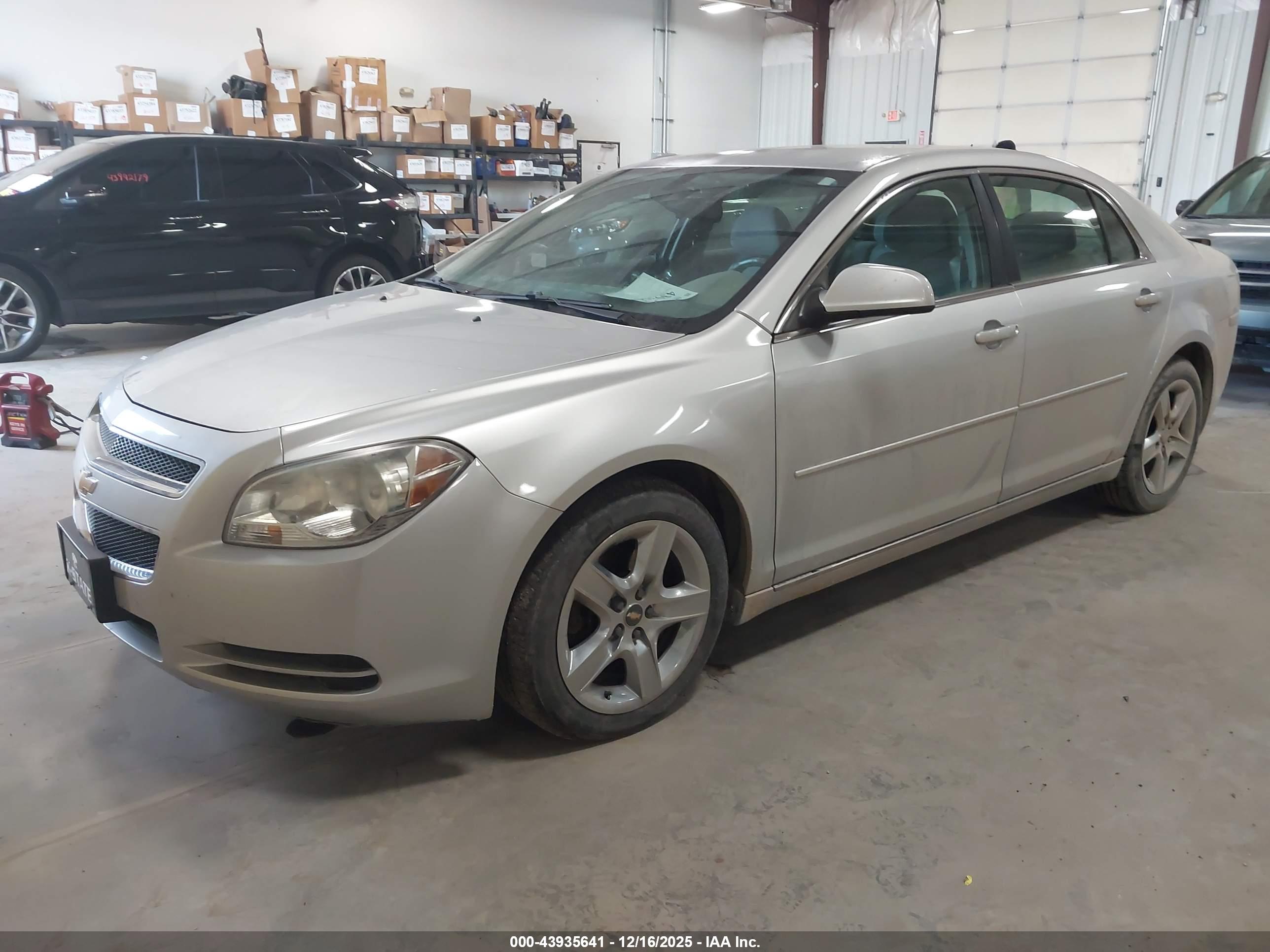 CHEVROLET MALIBU image 2