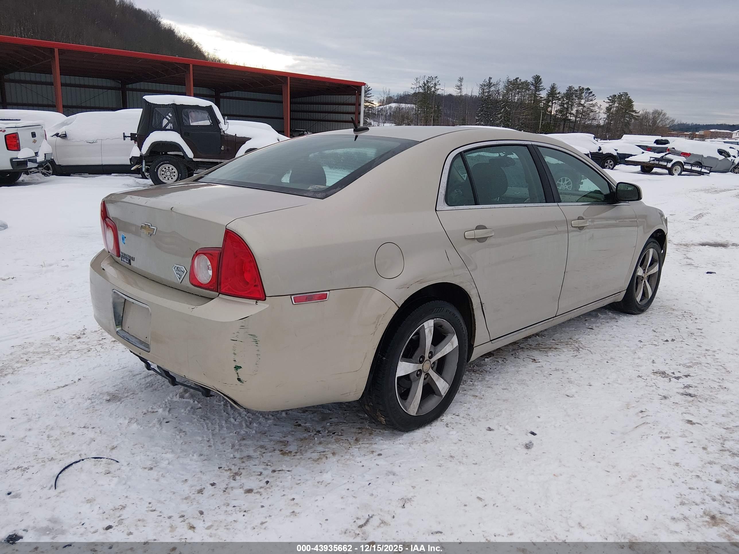 CHEVROLET MALIBU image 4