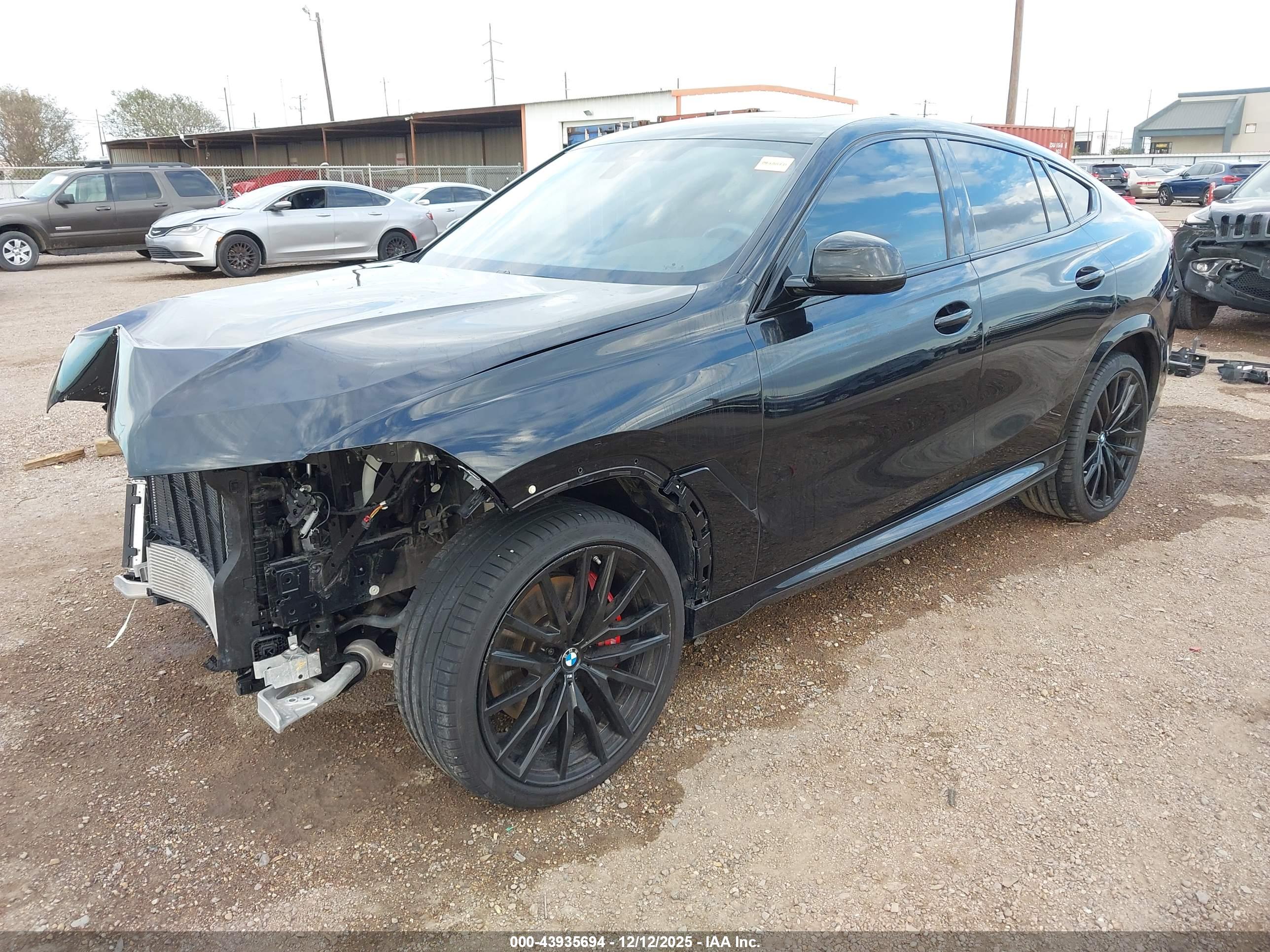 BMW X6 image 2