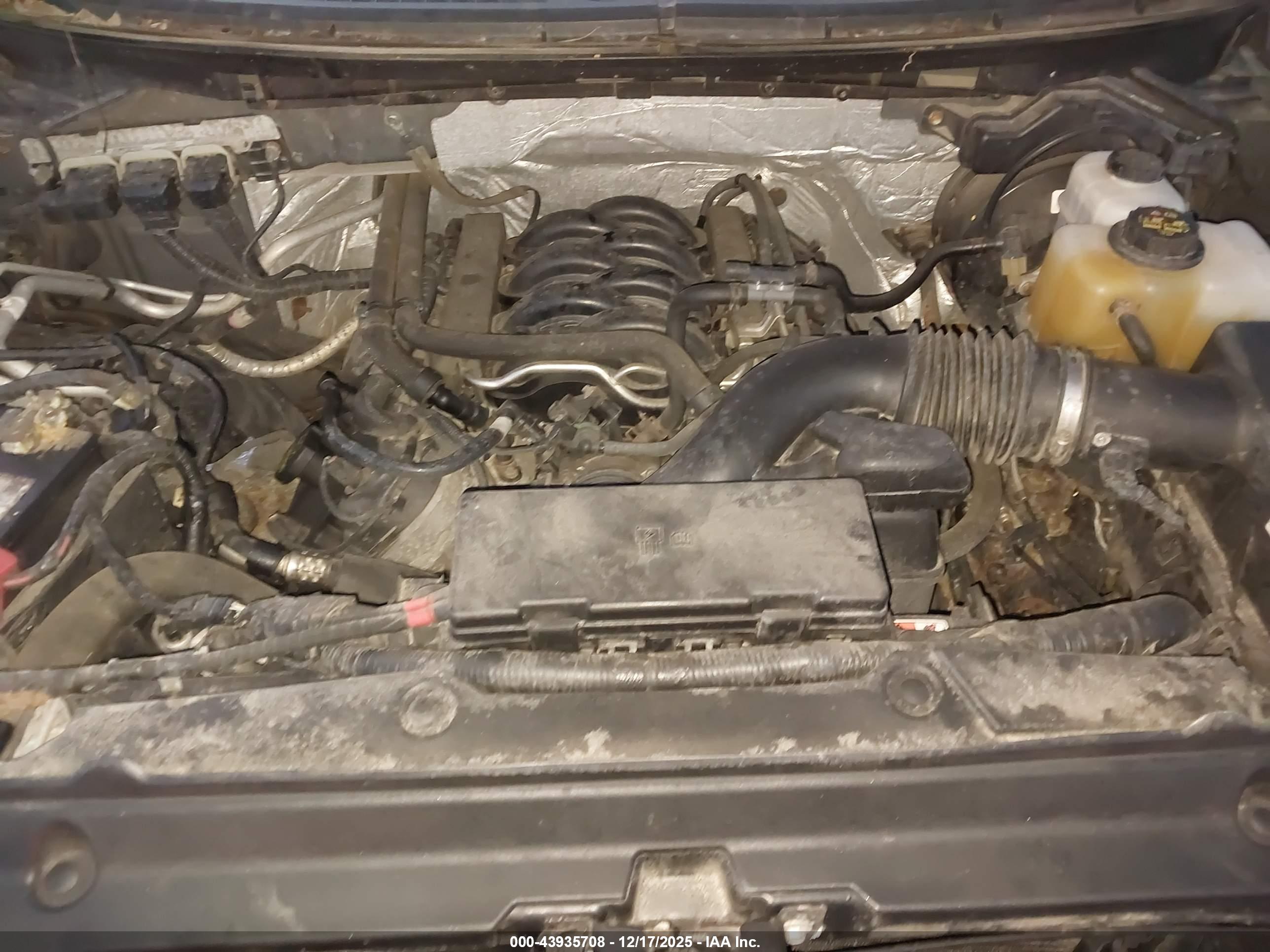 FORD F-150 image 10