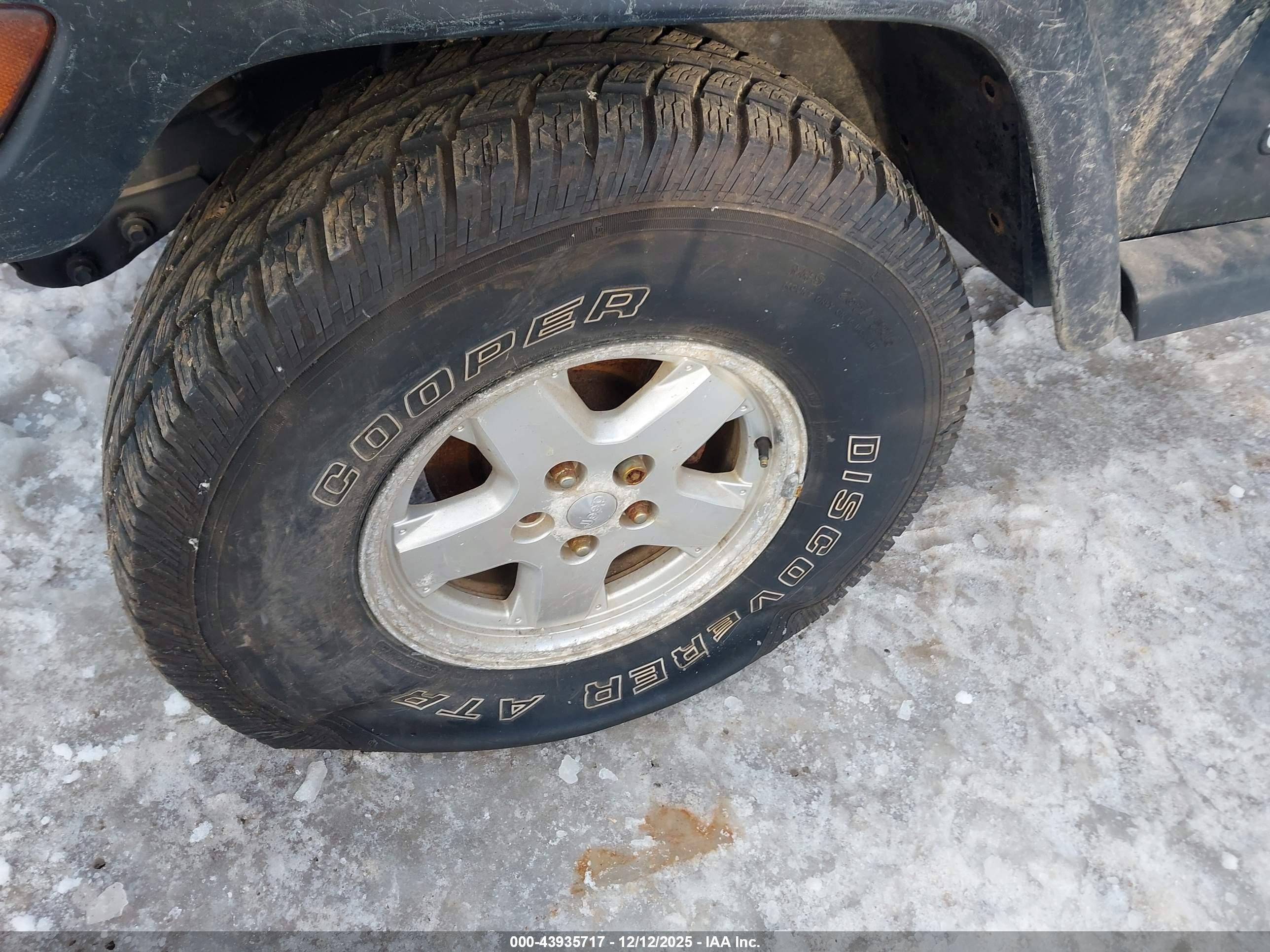 JEEP WRANGLER image 6