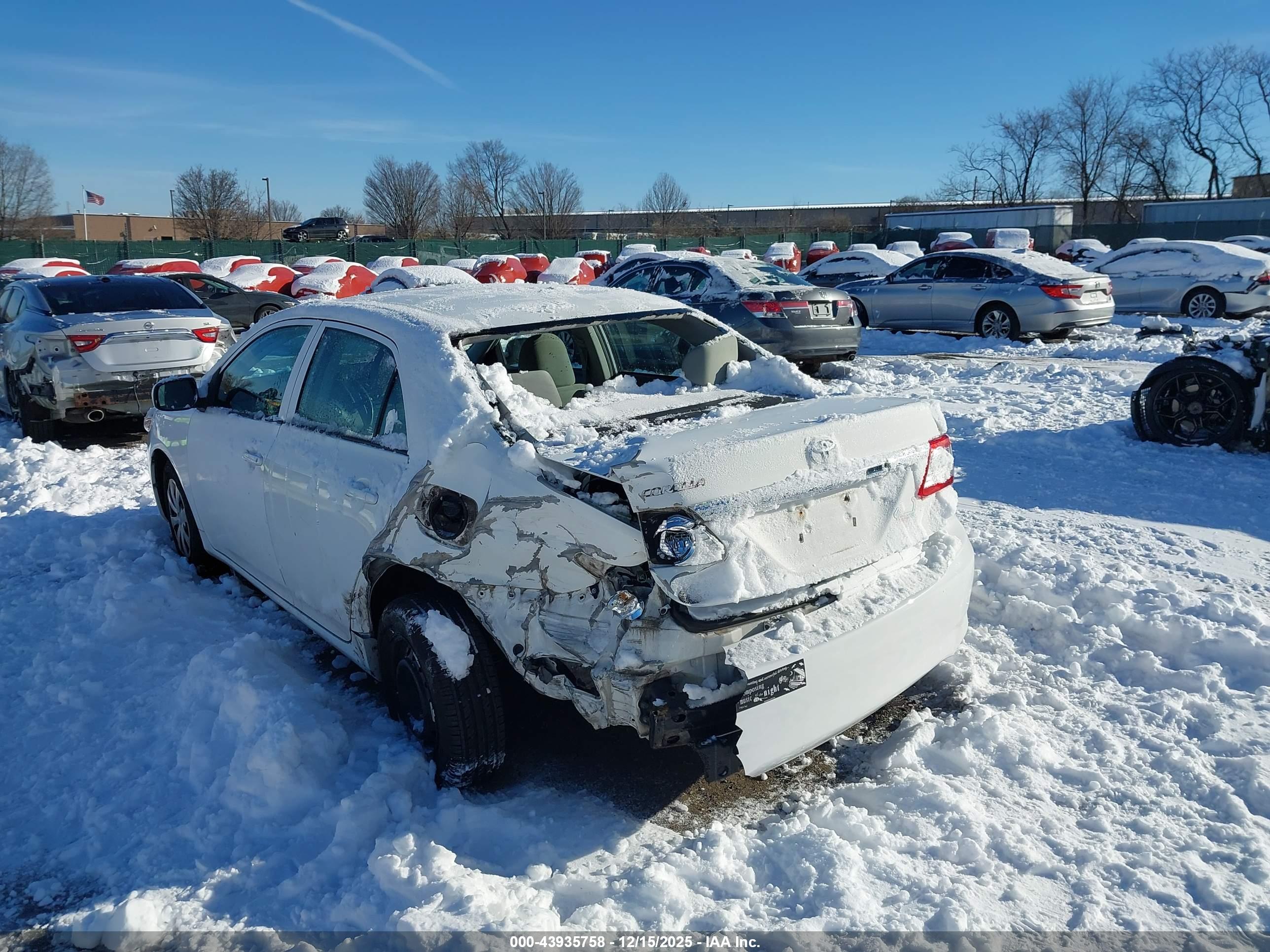TOYOTA COROLLA image 6