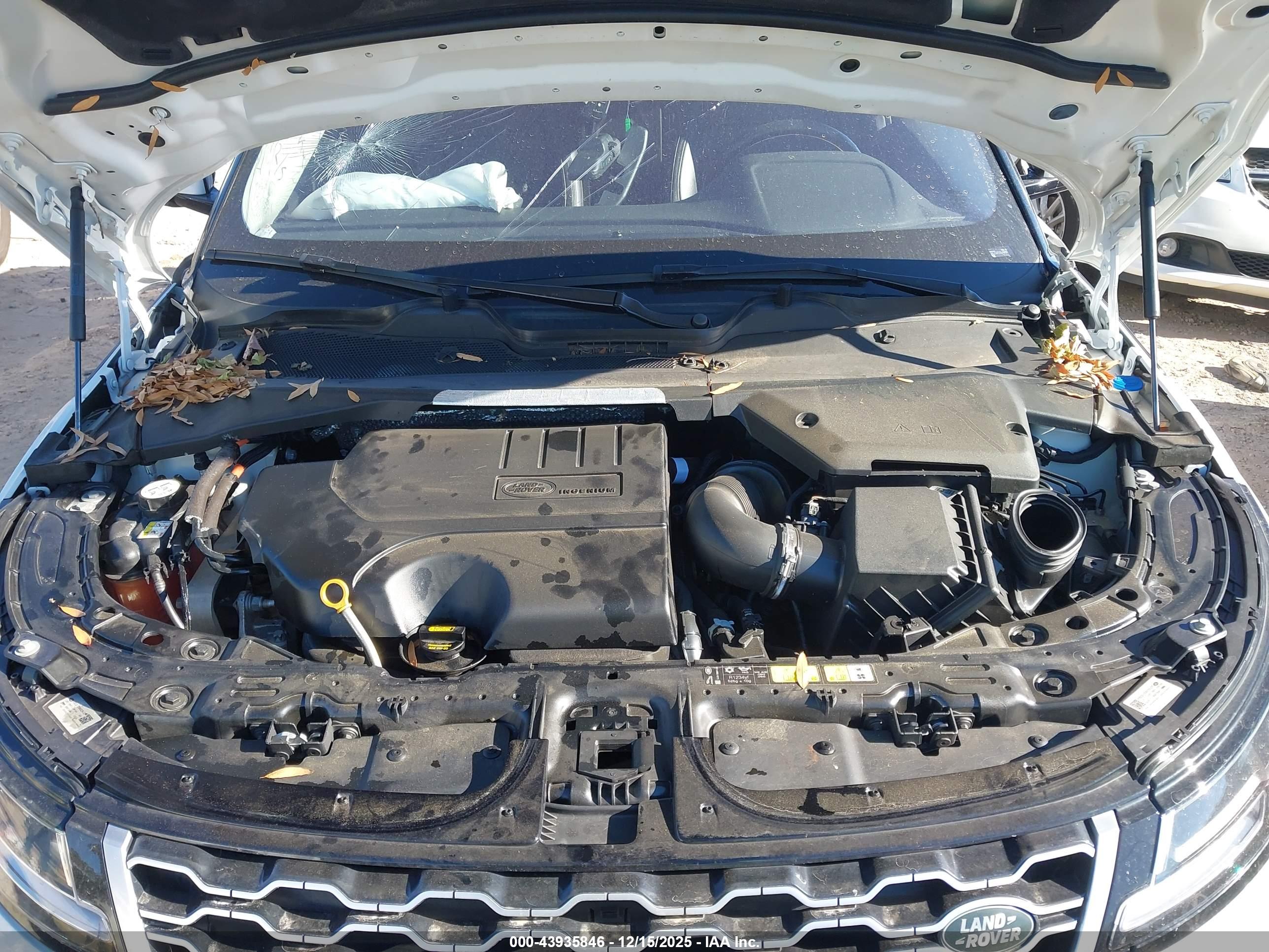 LAND ROVER image 10