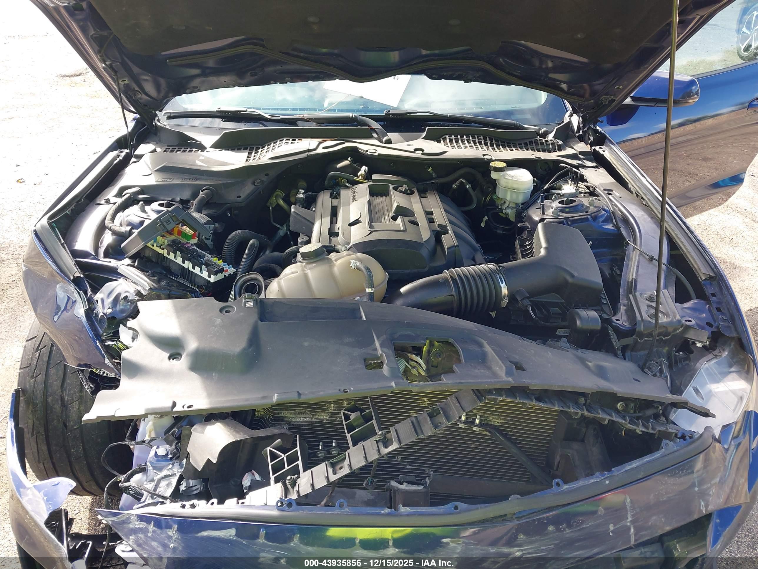 FORD MUSTANG image 10