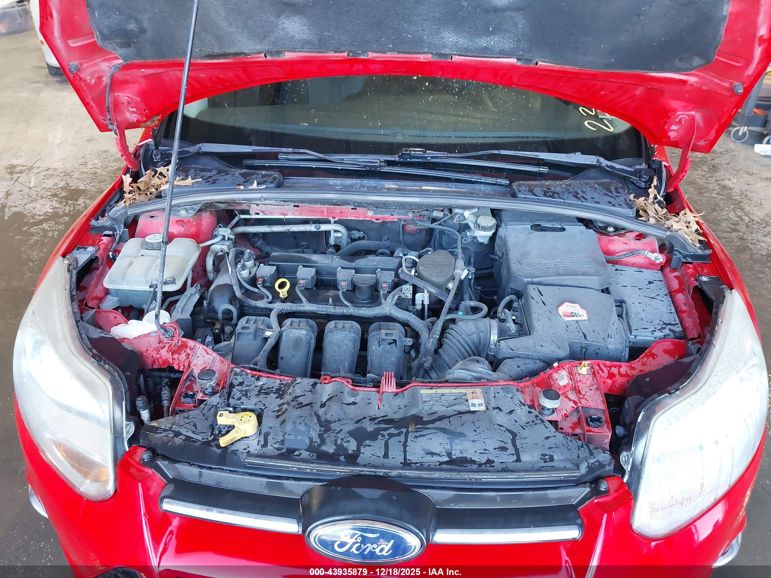FORD FOCUS image 10