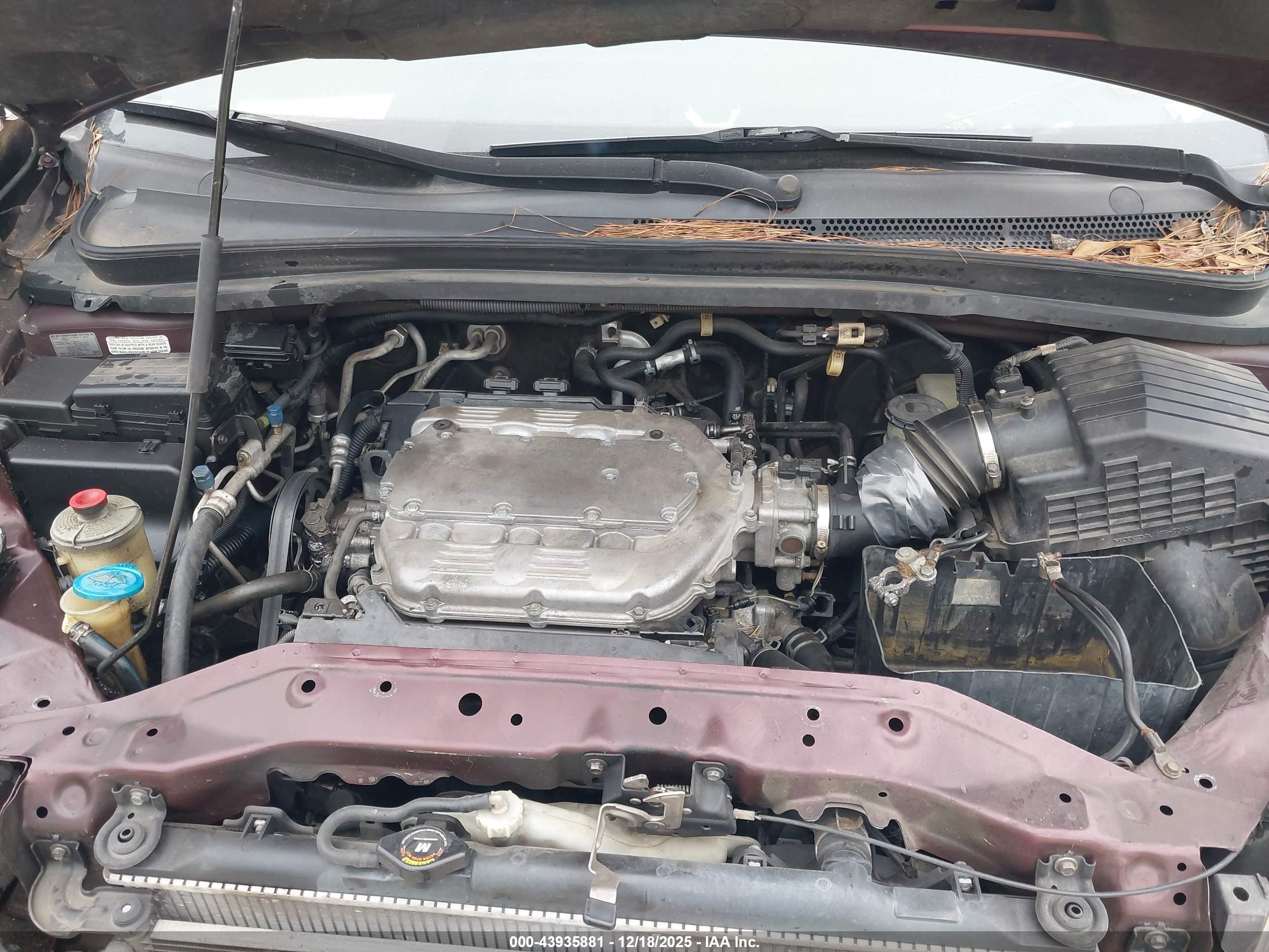 HONDA ODYSSEY image 10