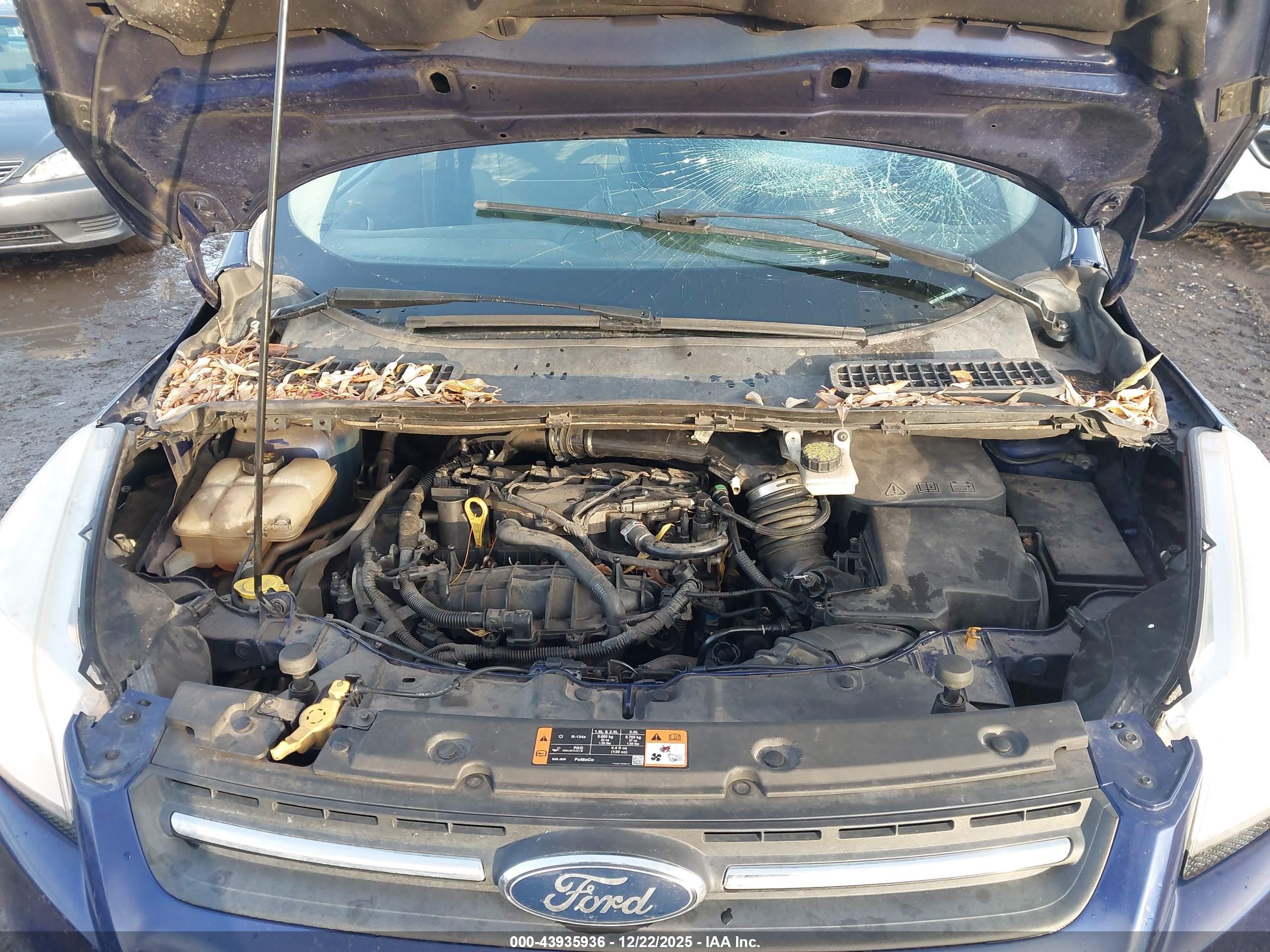 FORD ESCAPE image 10