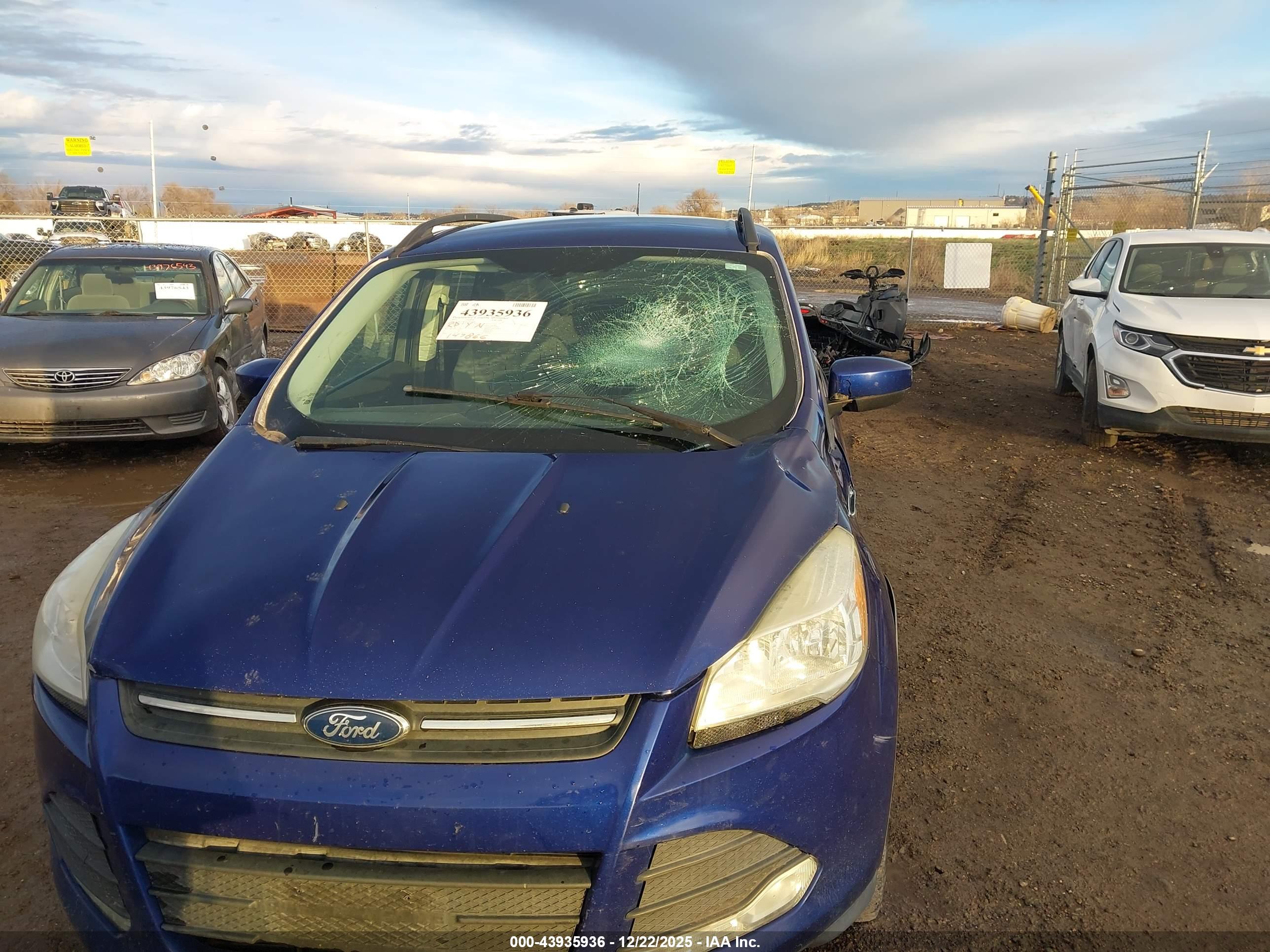 FORD ESCAPE image 6