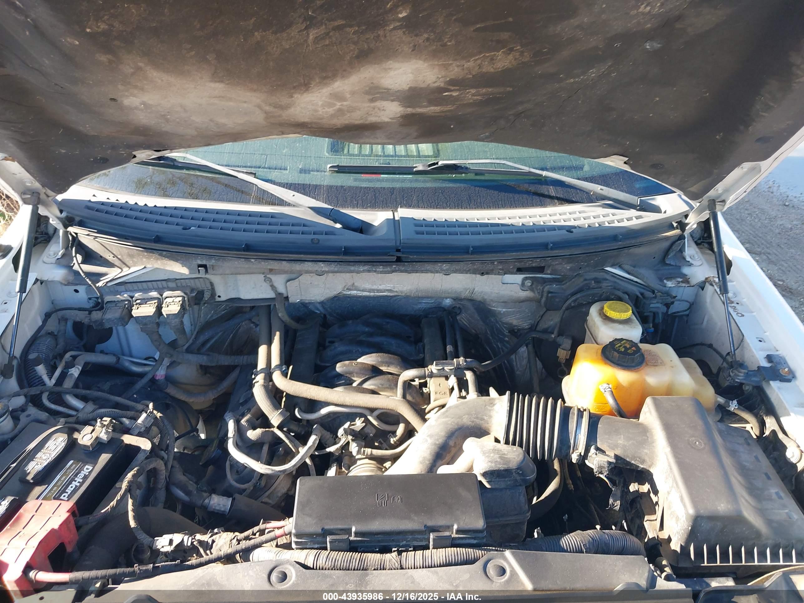 FORD F-150 image 10