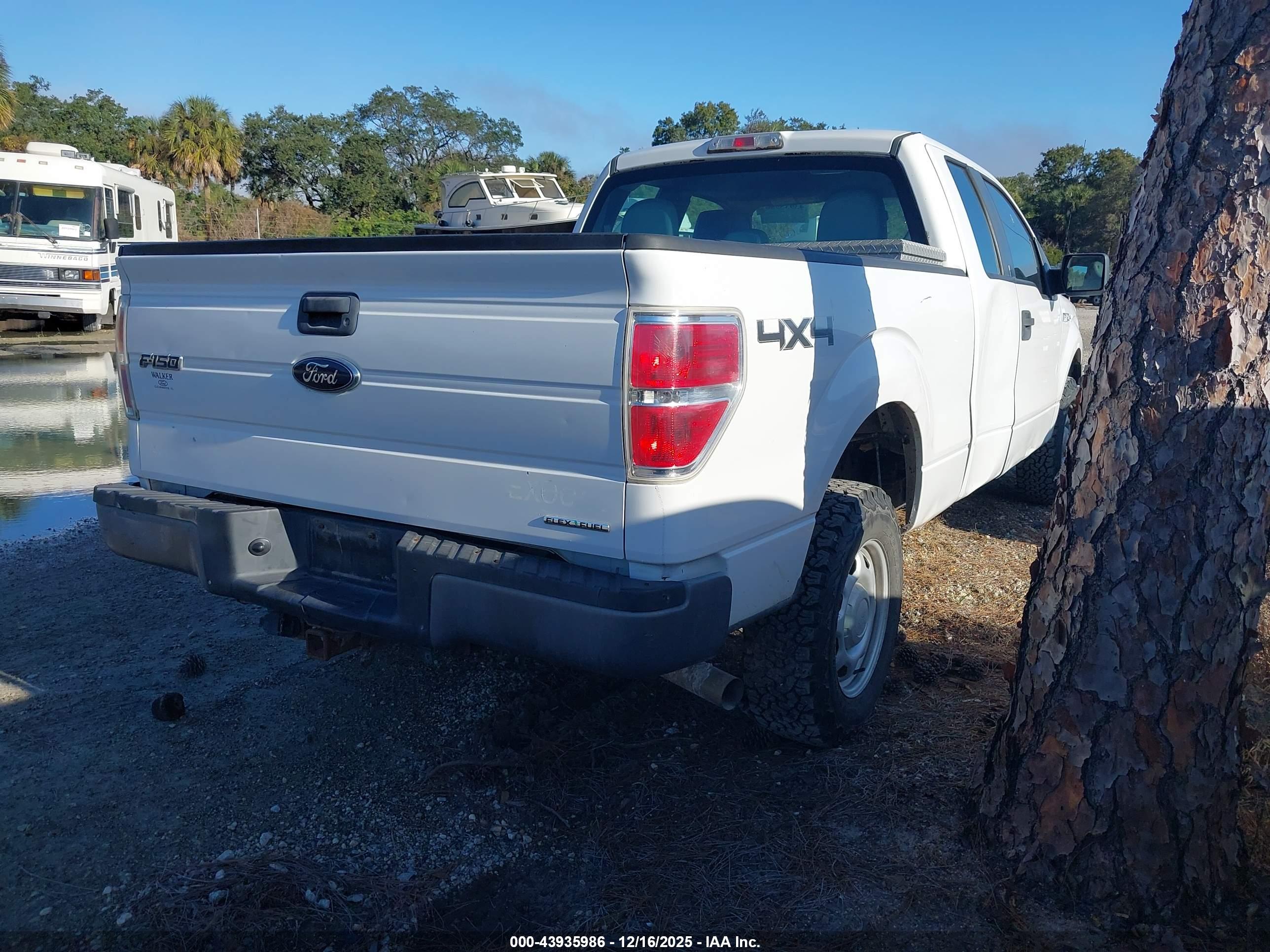 FORD F-150 image 4