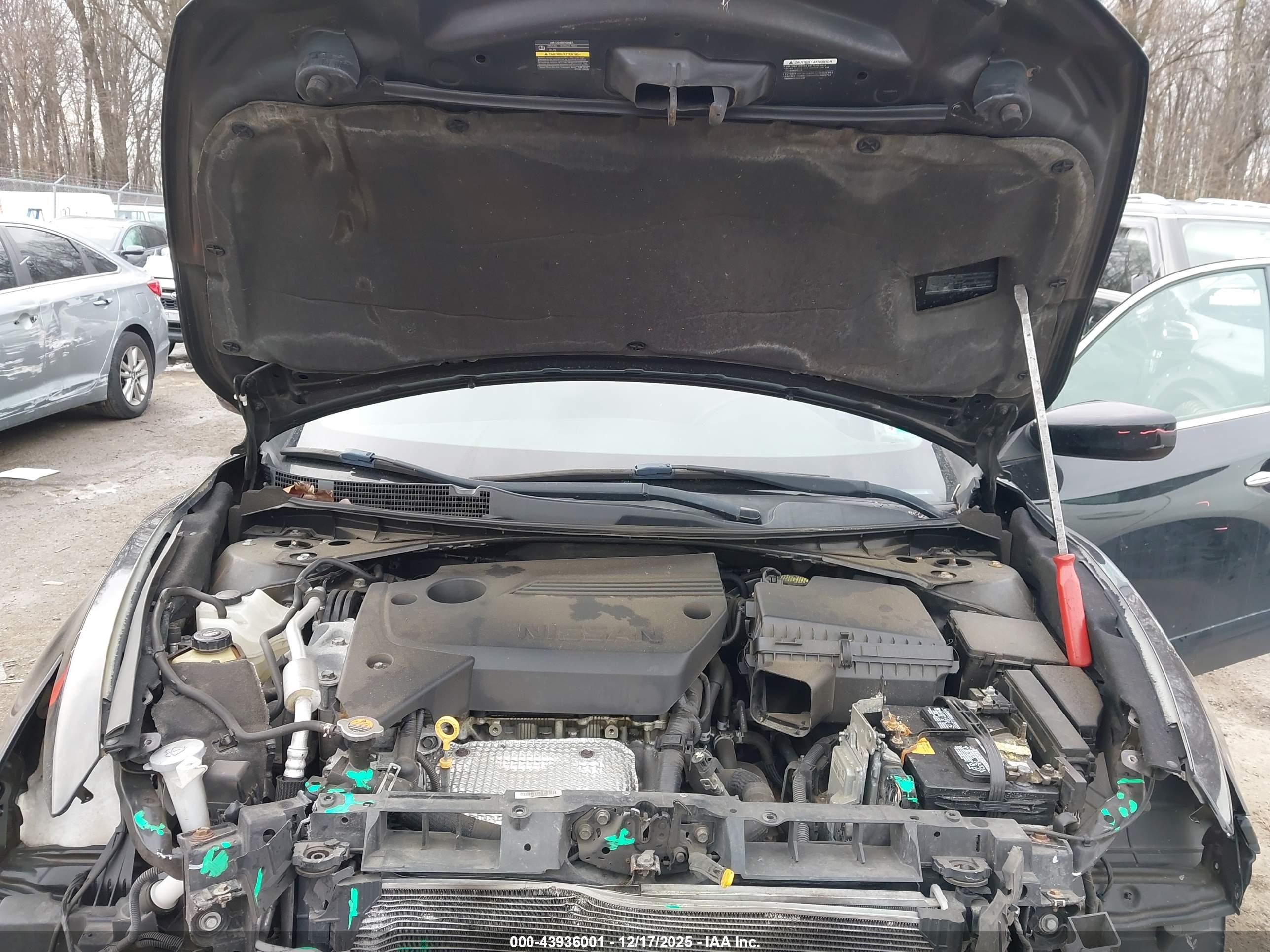 NISSAN ALTIMA image 10